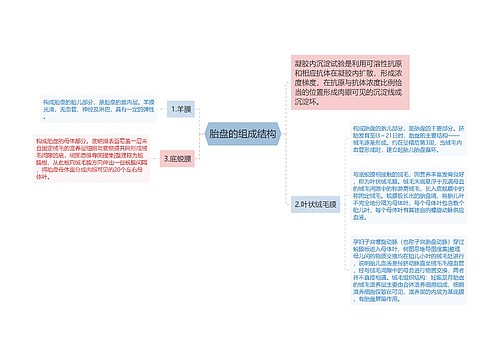 胎盘的组成结构