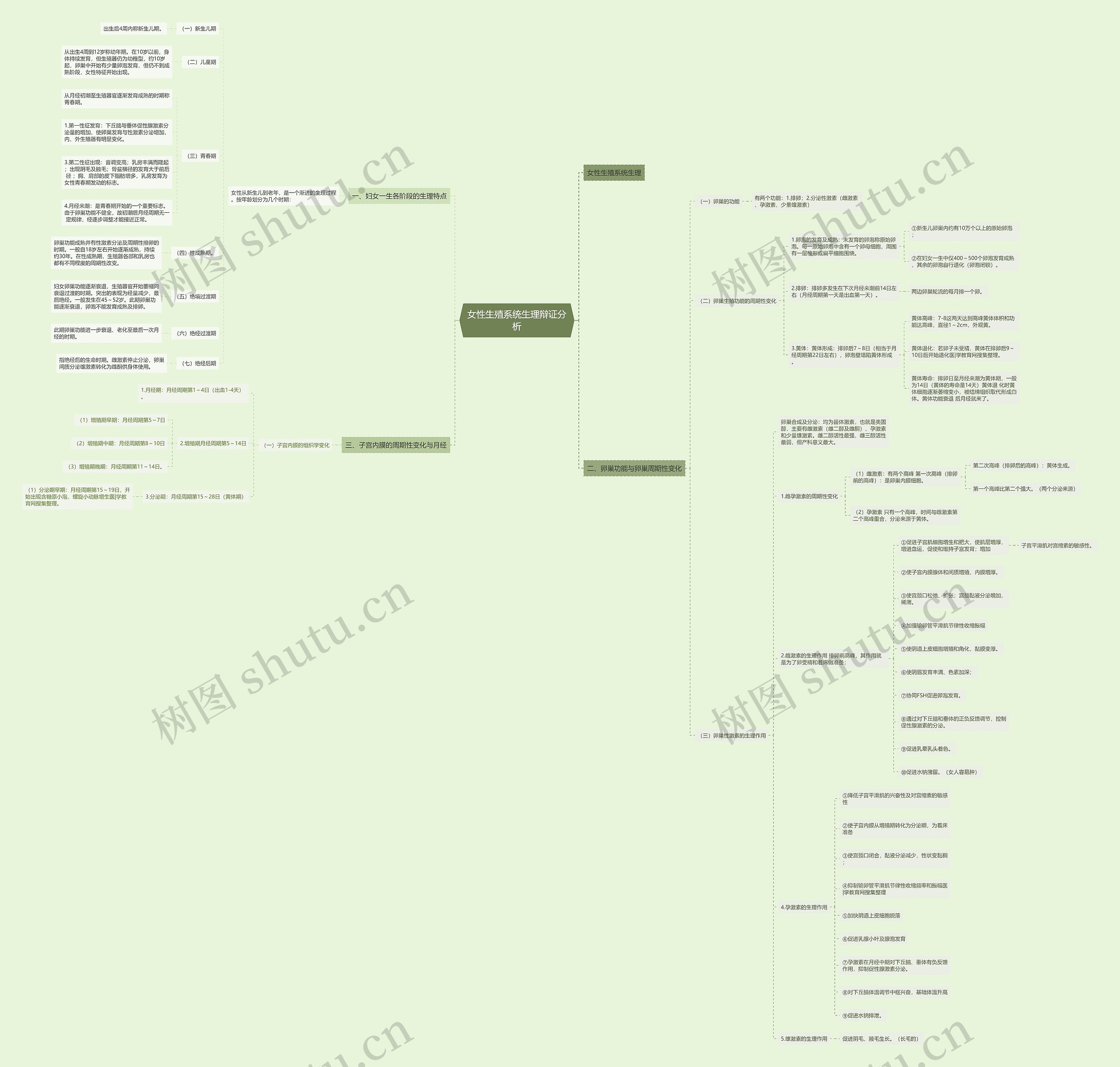 女性生殖系统生理辩证分析思维导图