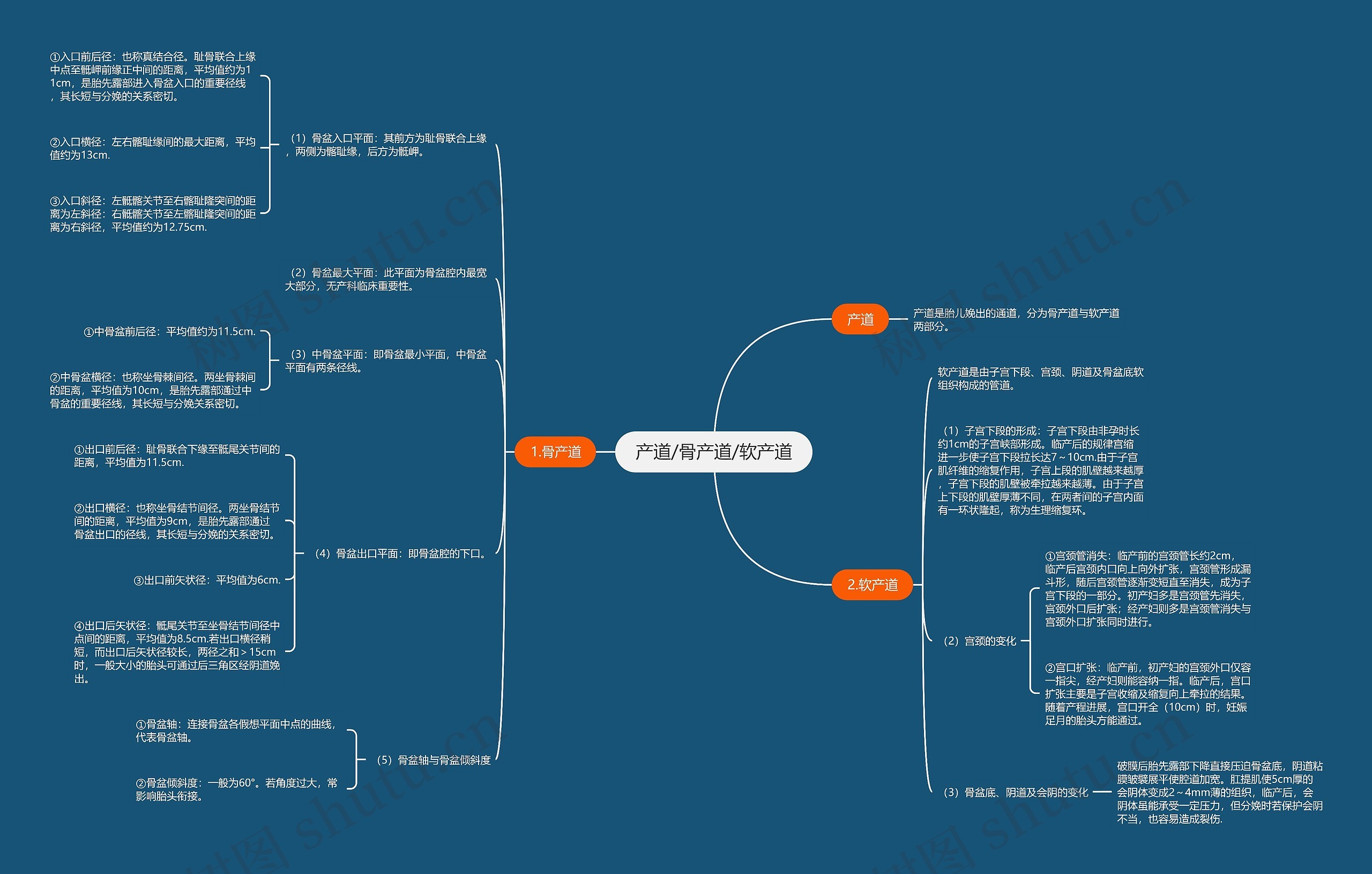 产道/骨产道/软产道思维导图