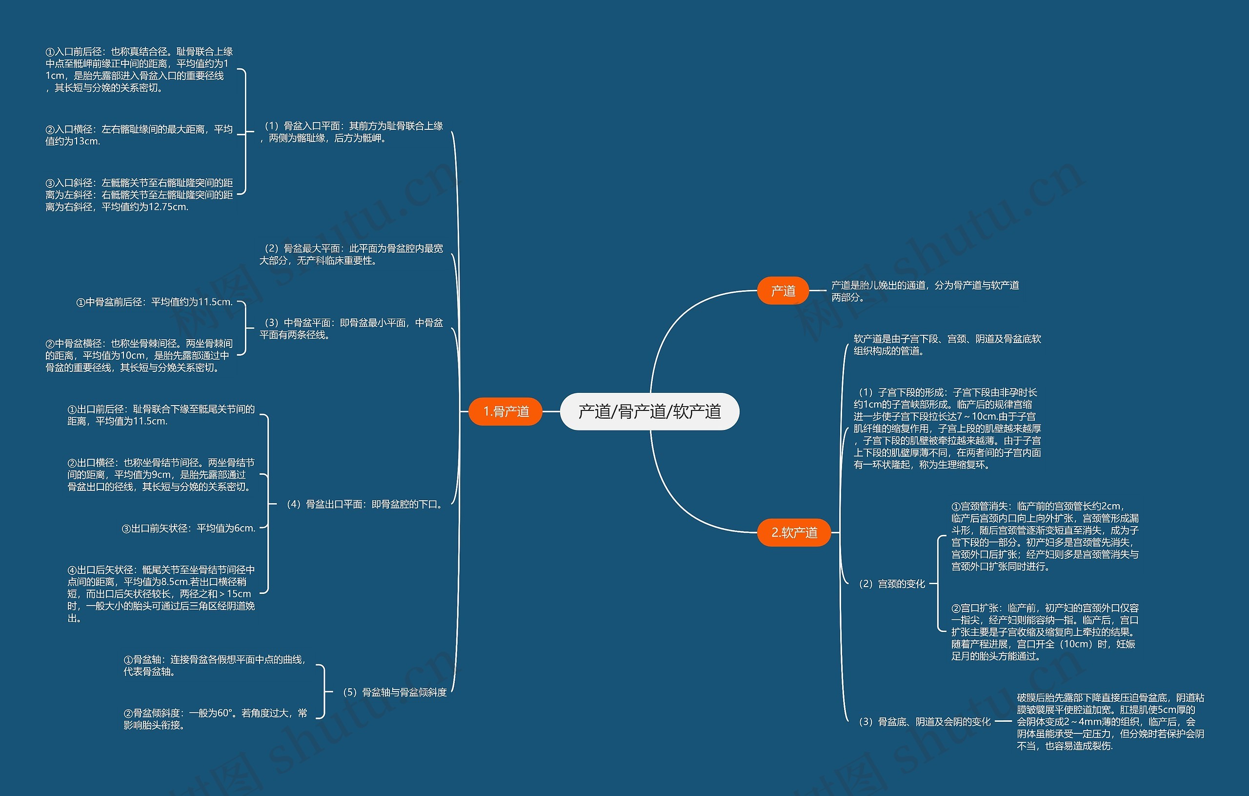 产道/骨产道/软产道 产道/骨产道/软产道