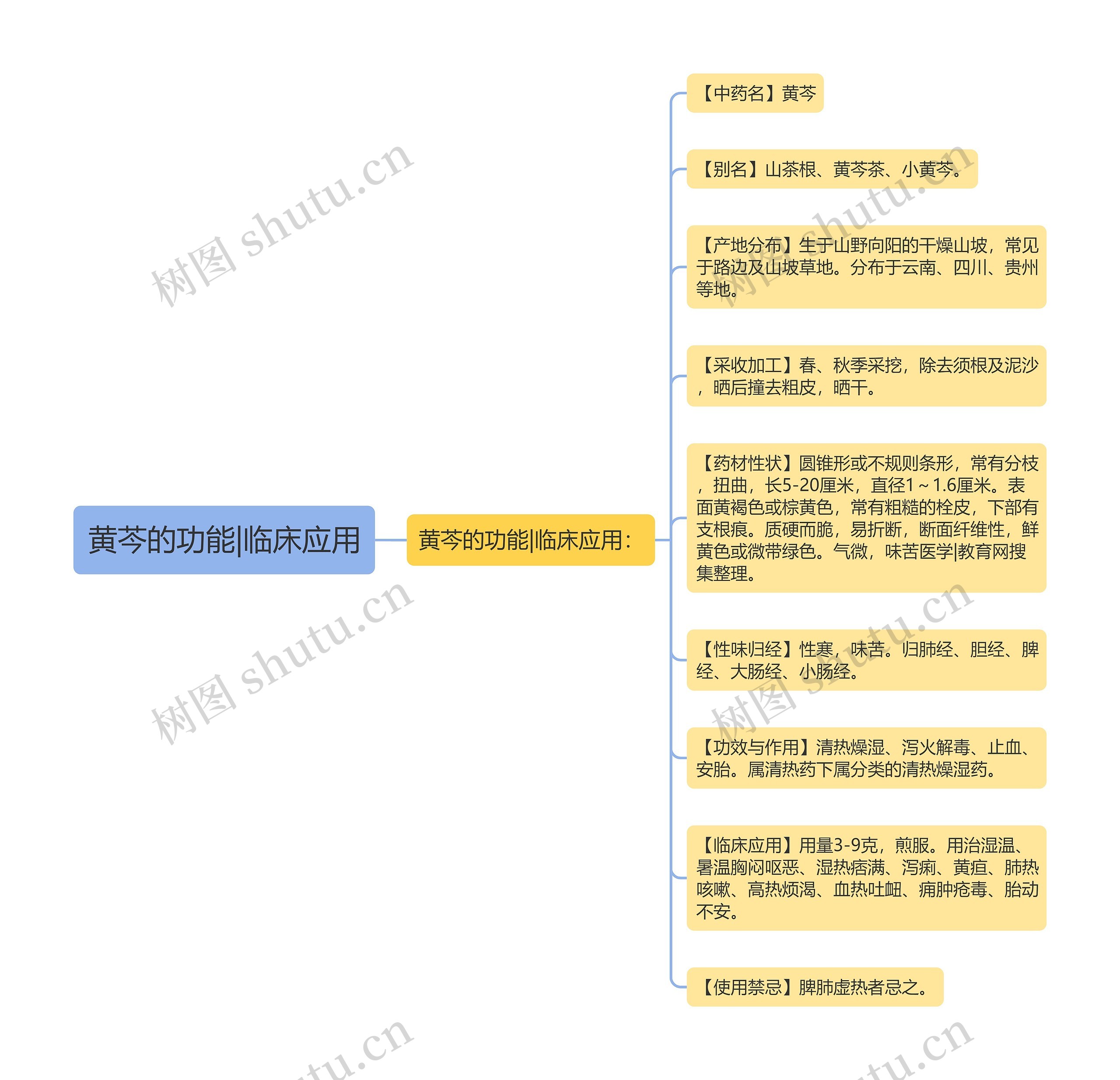 黄芩的功能|临床应用思维导图