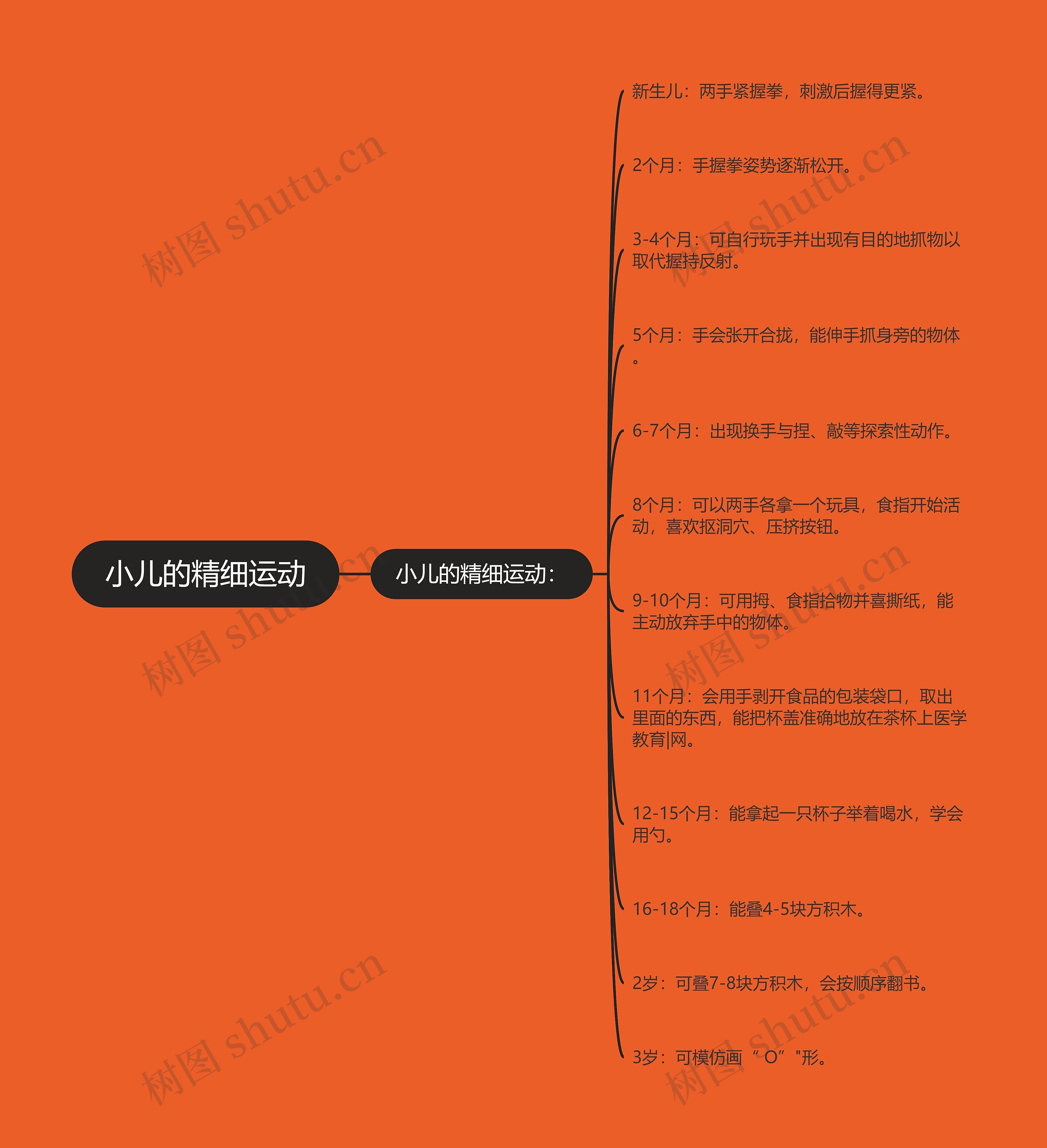 小儿的精细运动 小儿的精细运动