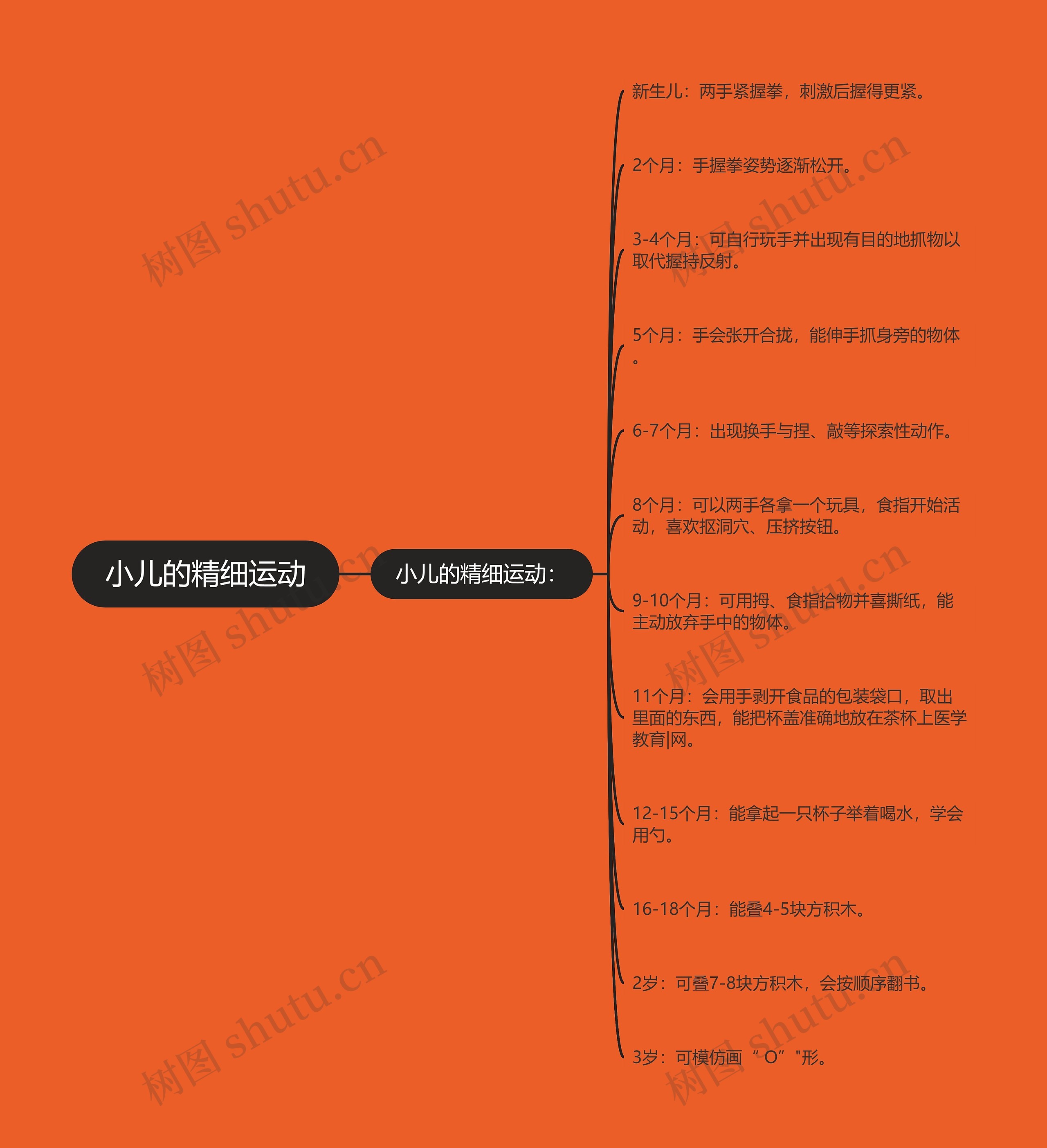 小儿的精细运动思维导图