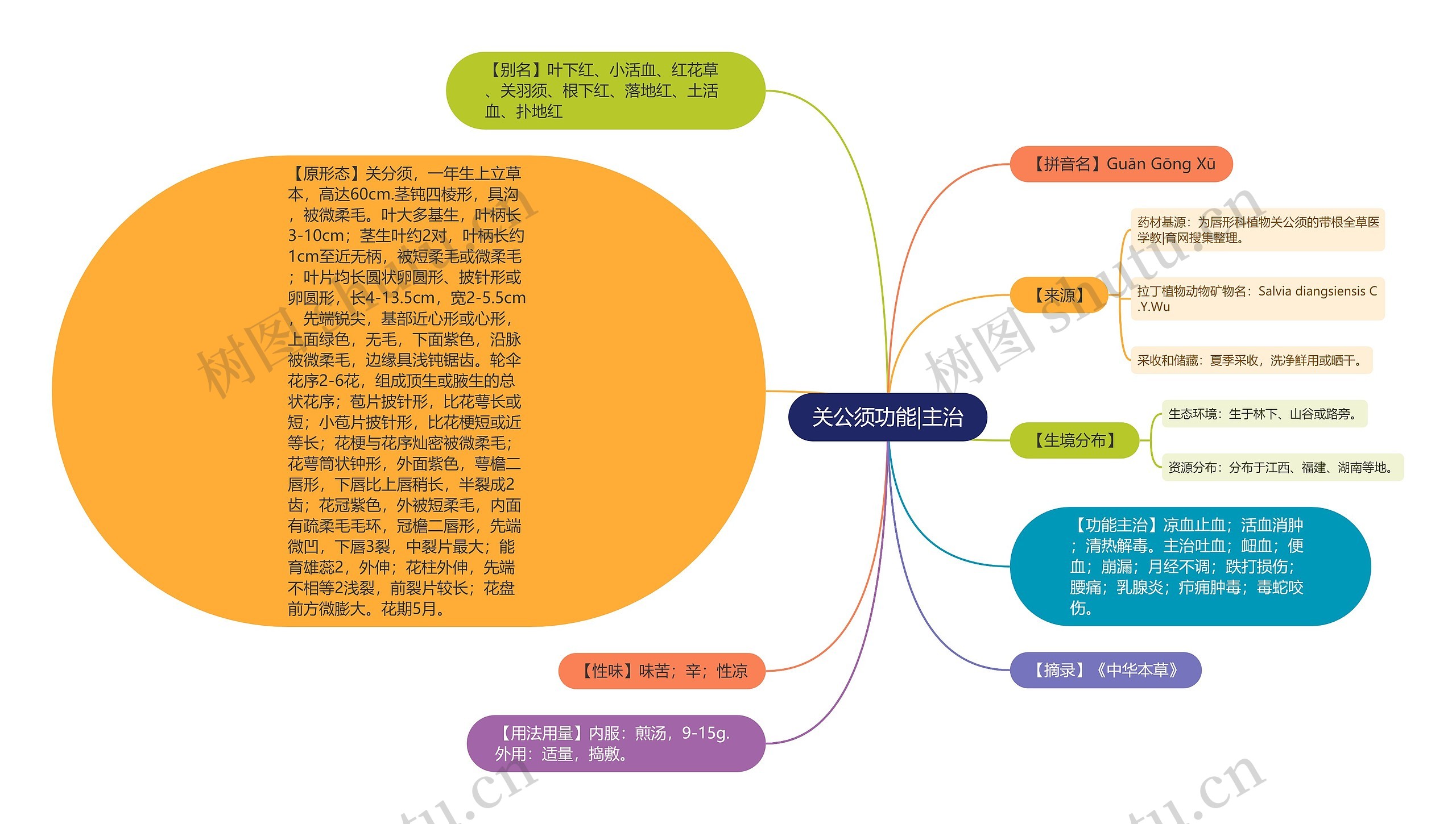 关公须功能|主治思维导图