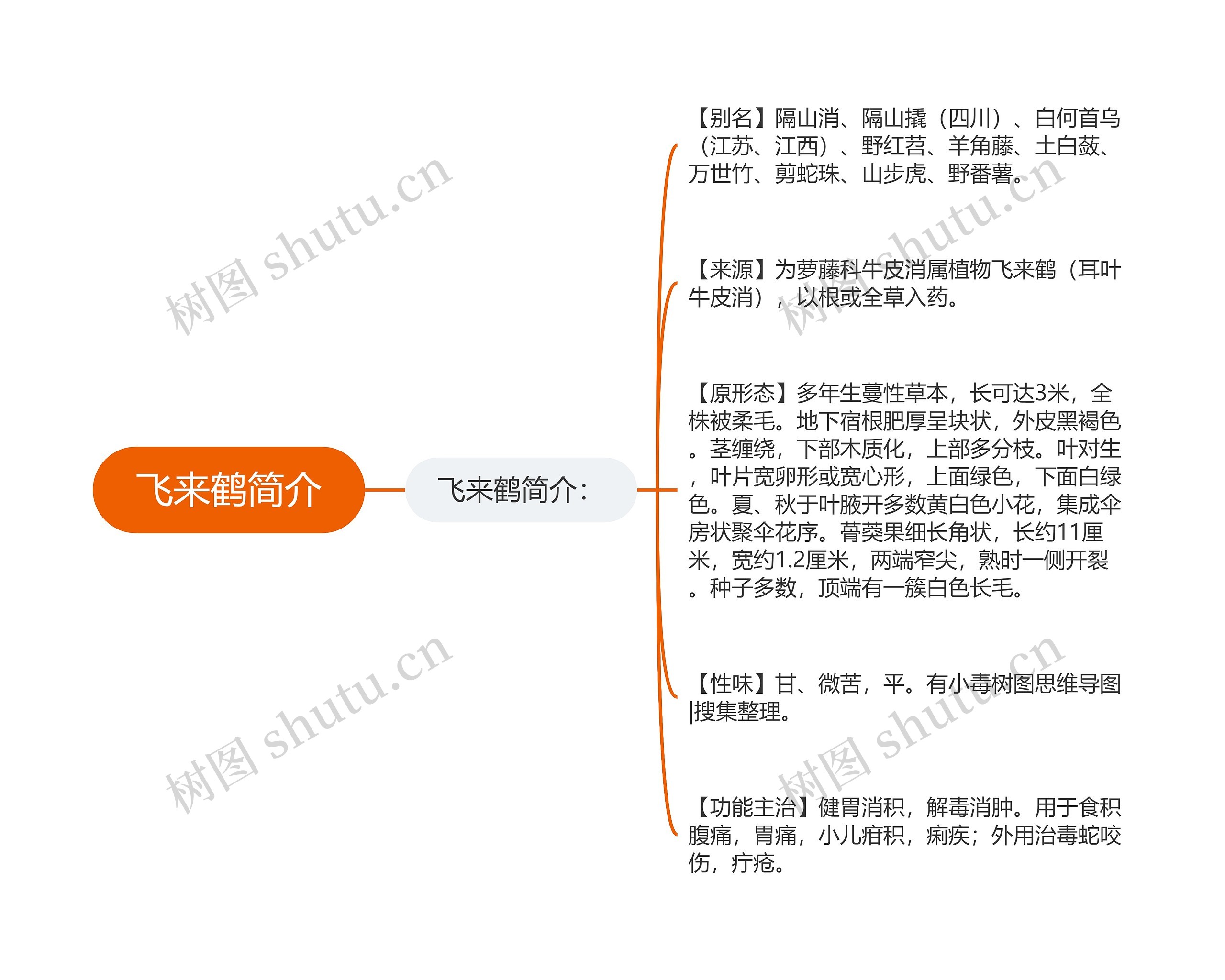 飞来鹤简介思维导图