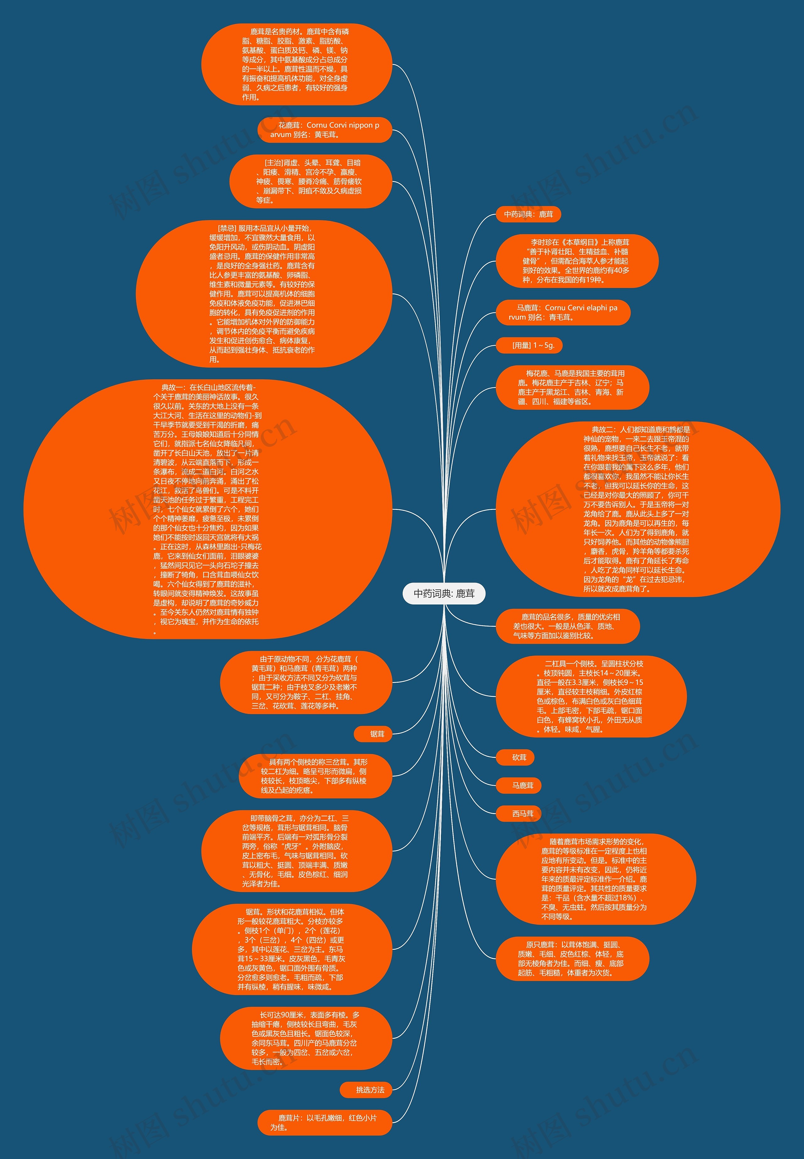 中药词典: 鹿茸思维导图