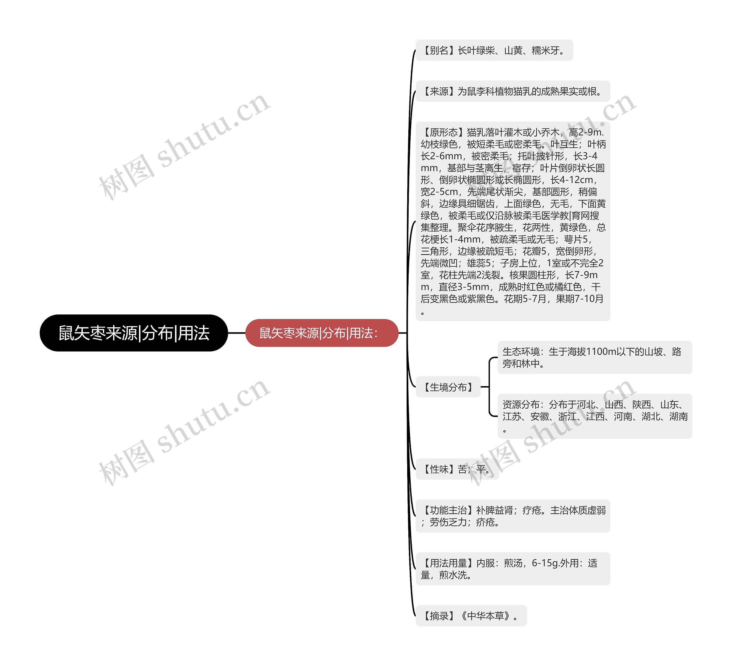 鼠矢枣来源|分布|用法