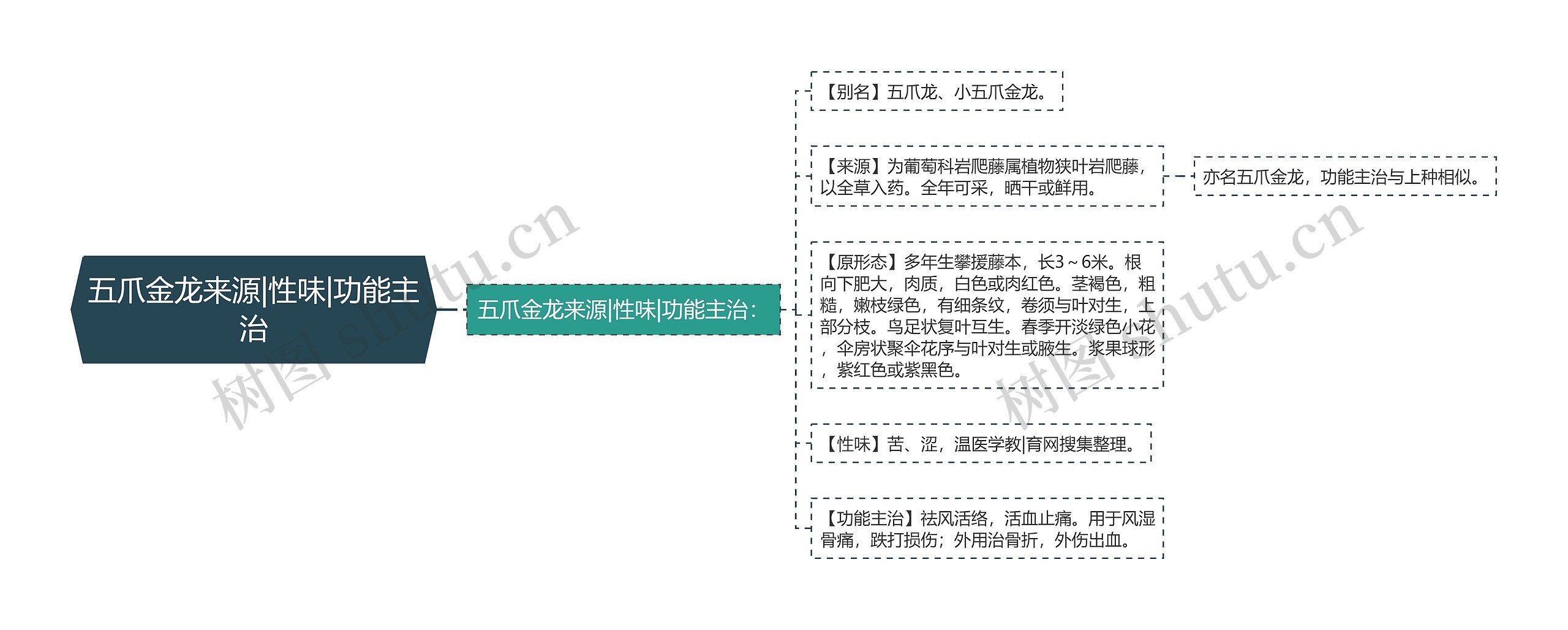 五爪金龙来源|性味|功能主治