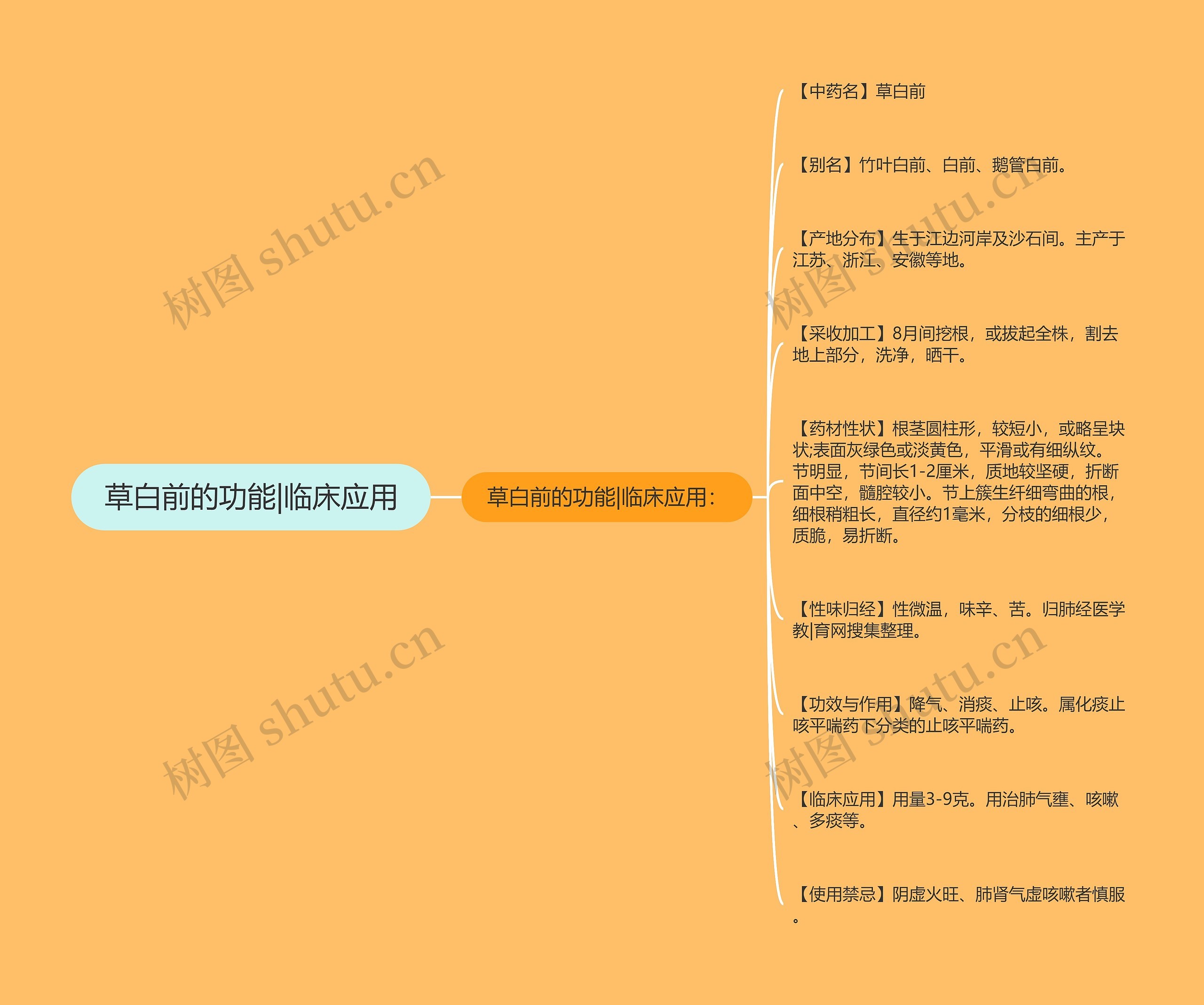 草白前的功能|临床应用思维导图
