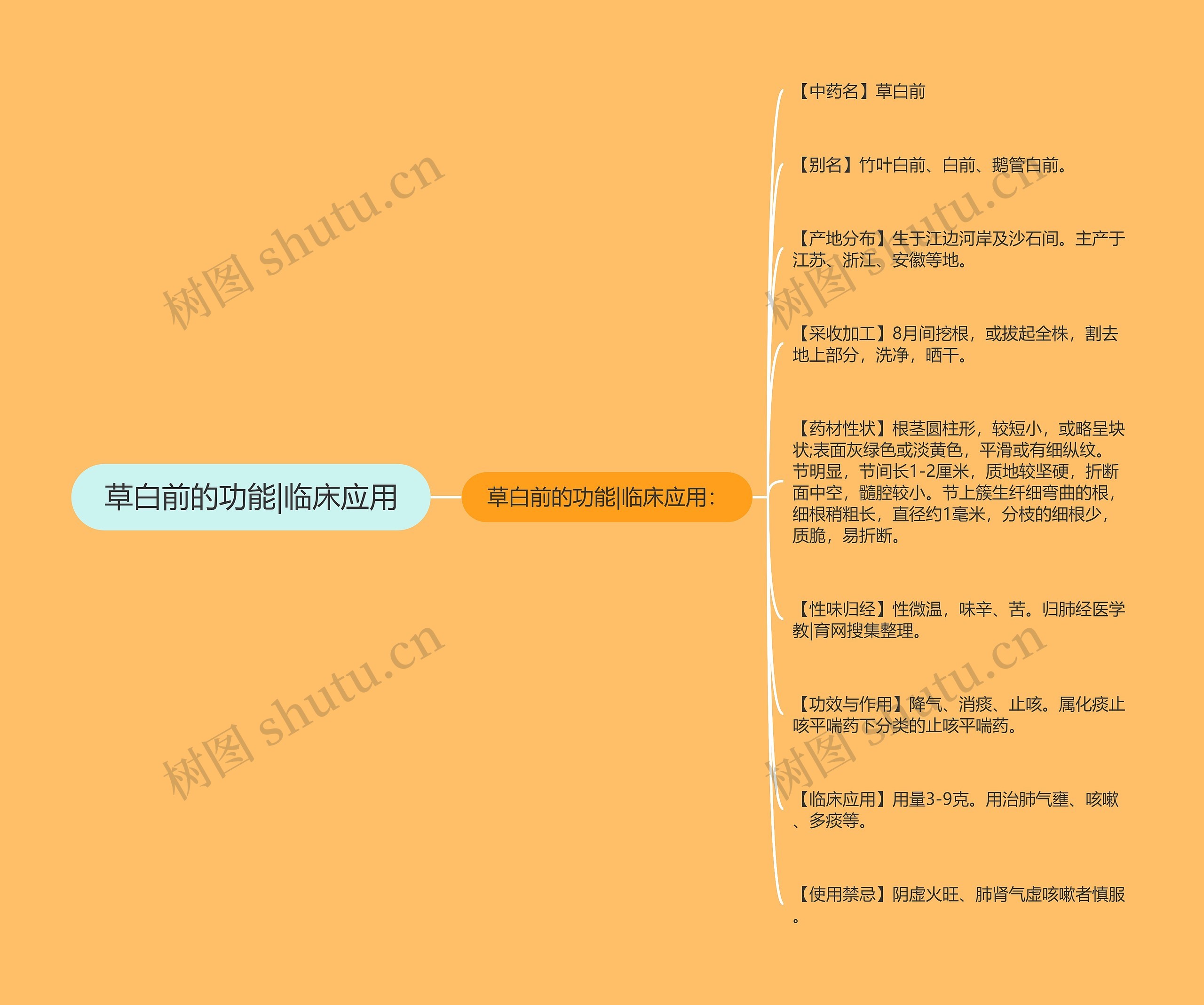 草白前的功能|临床应用 草白前的功能|临床应用