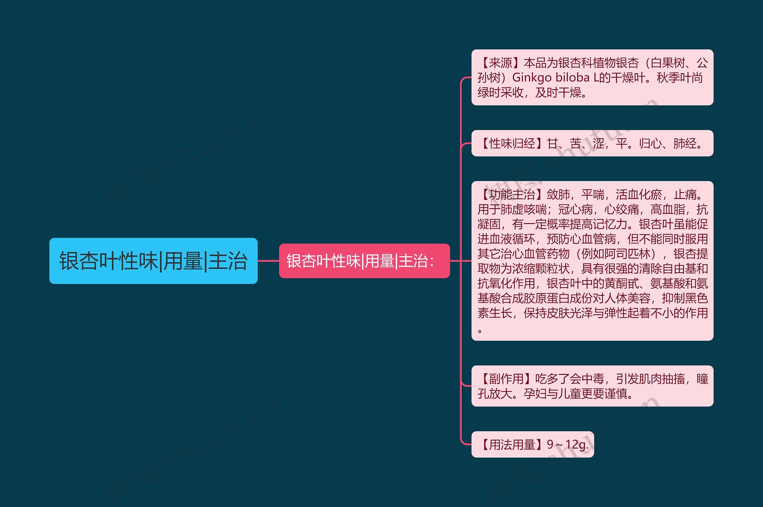 银杏叶性味|用量|主治 银杏叶性味|用量|主治