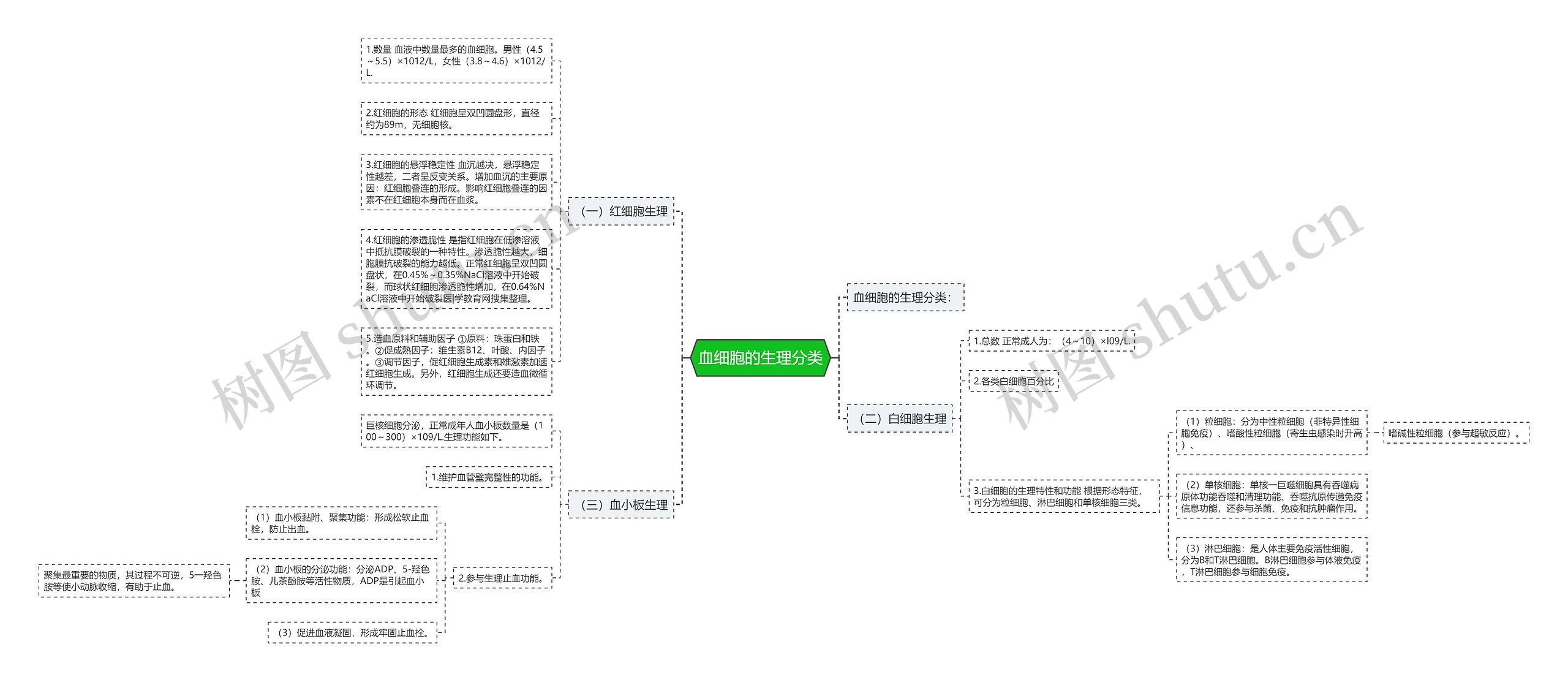 血细胞的生理分类 血细胞的生理分类