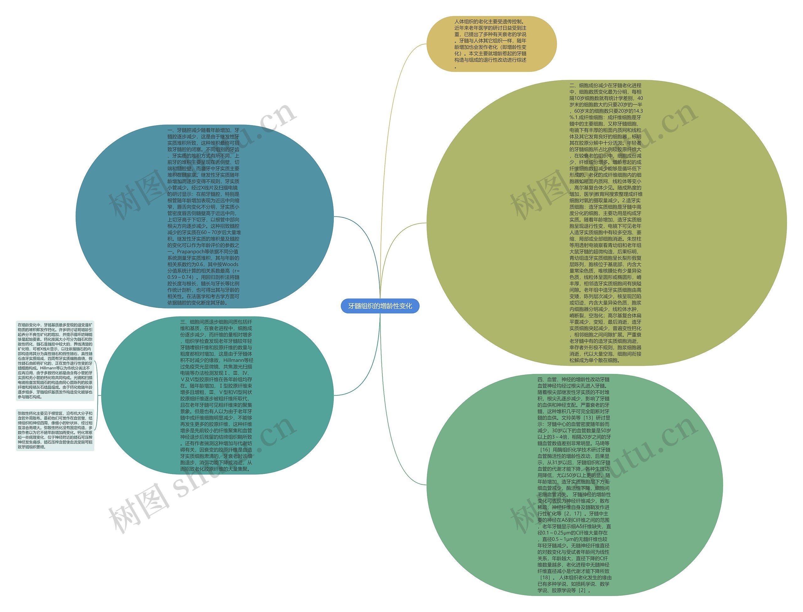 牙髓组织的增龄性变化思维导图