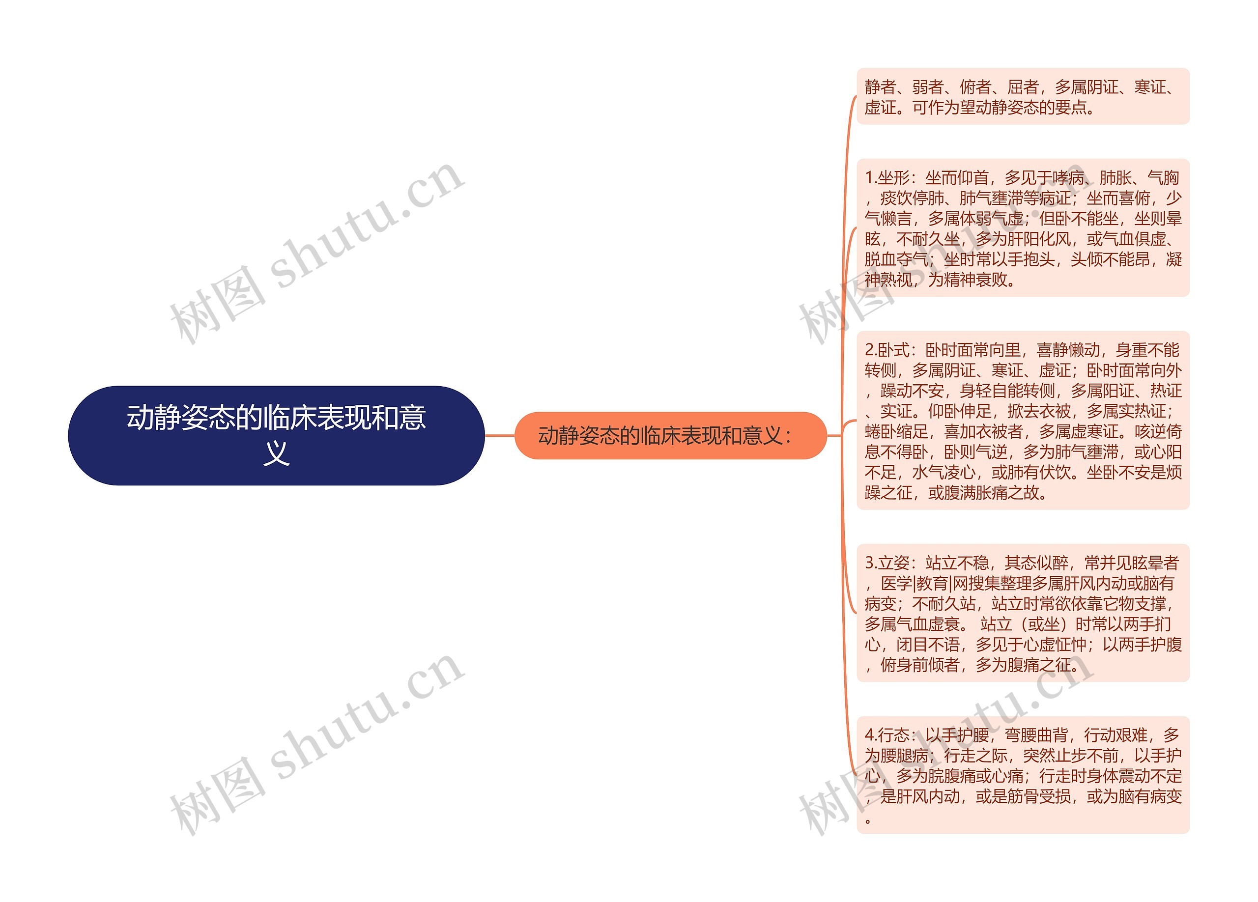 动静姿态的临床表现和意义思维导图