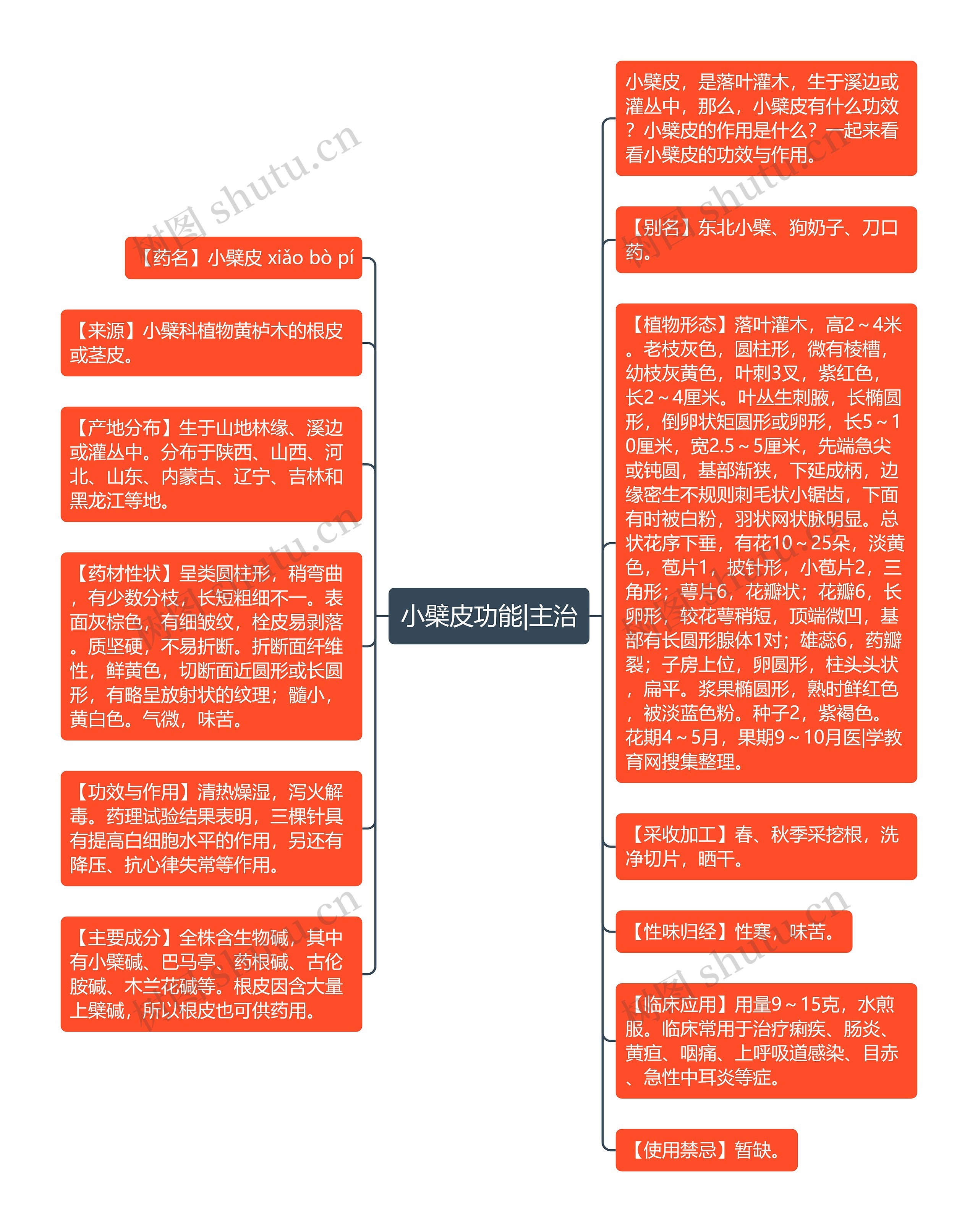 小檗皮功能|主治思维导图