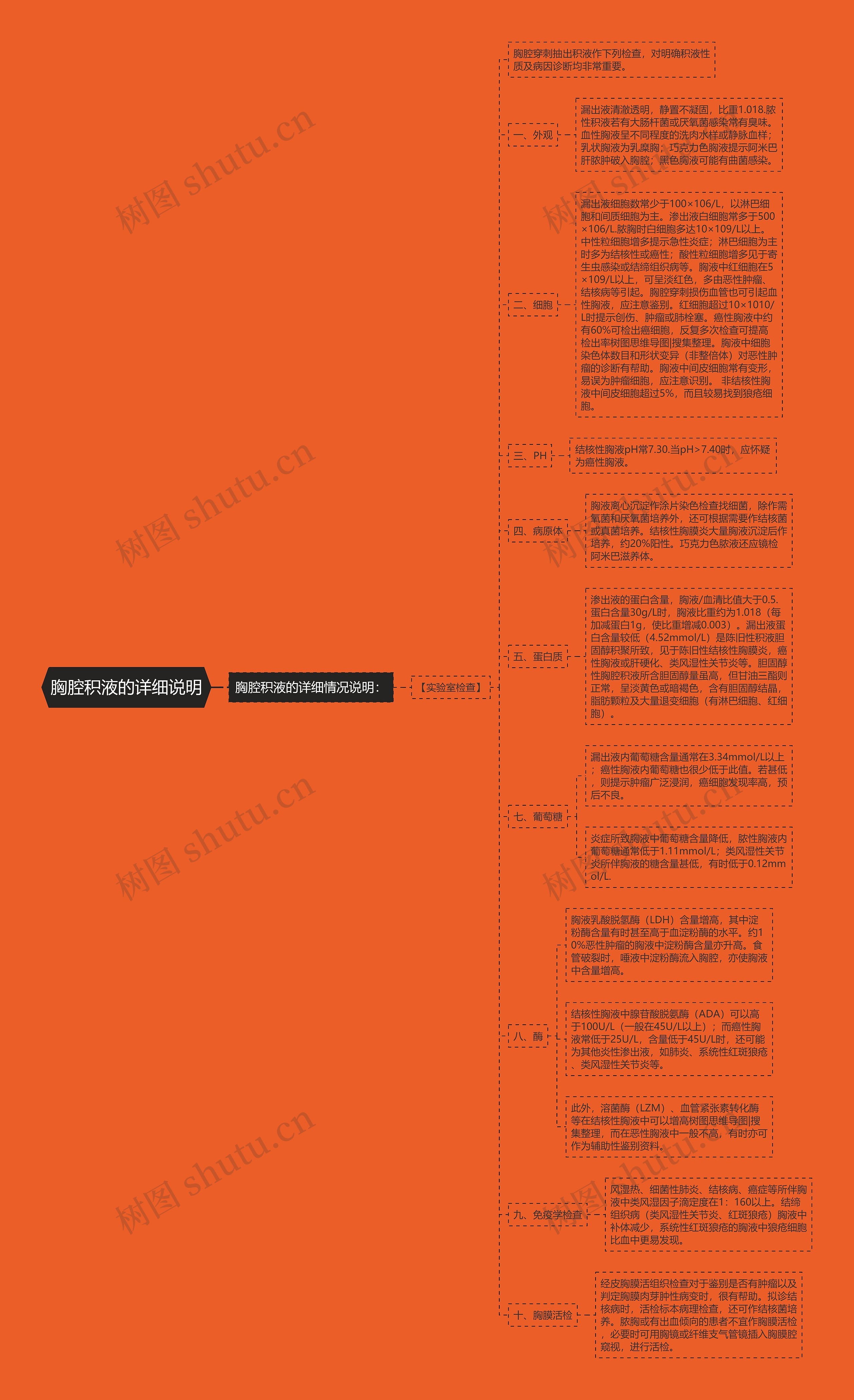 胸腔积液的详细说明思维导图