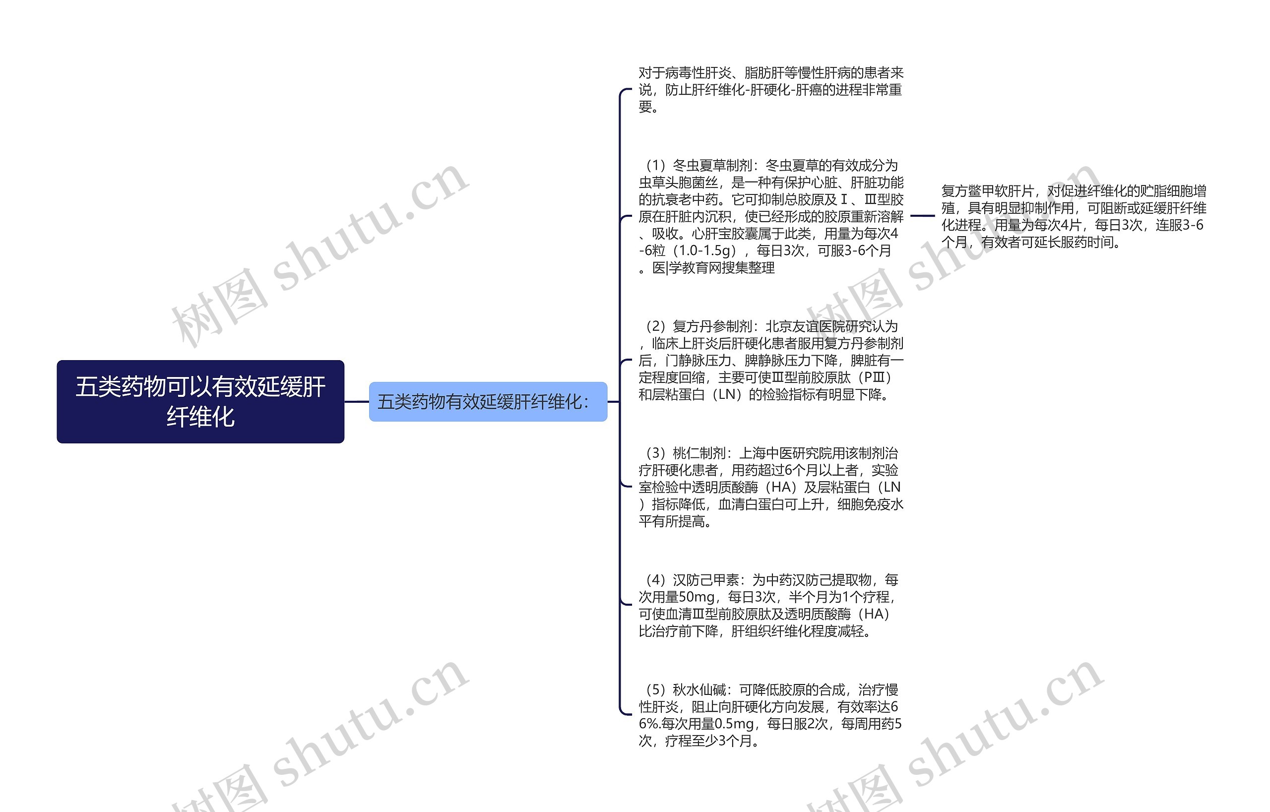 五类药物可以有效延缓肝纤维化思维导图