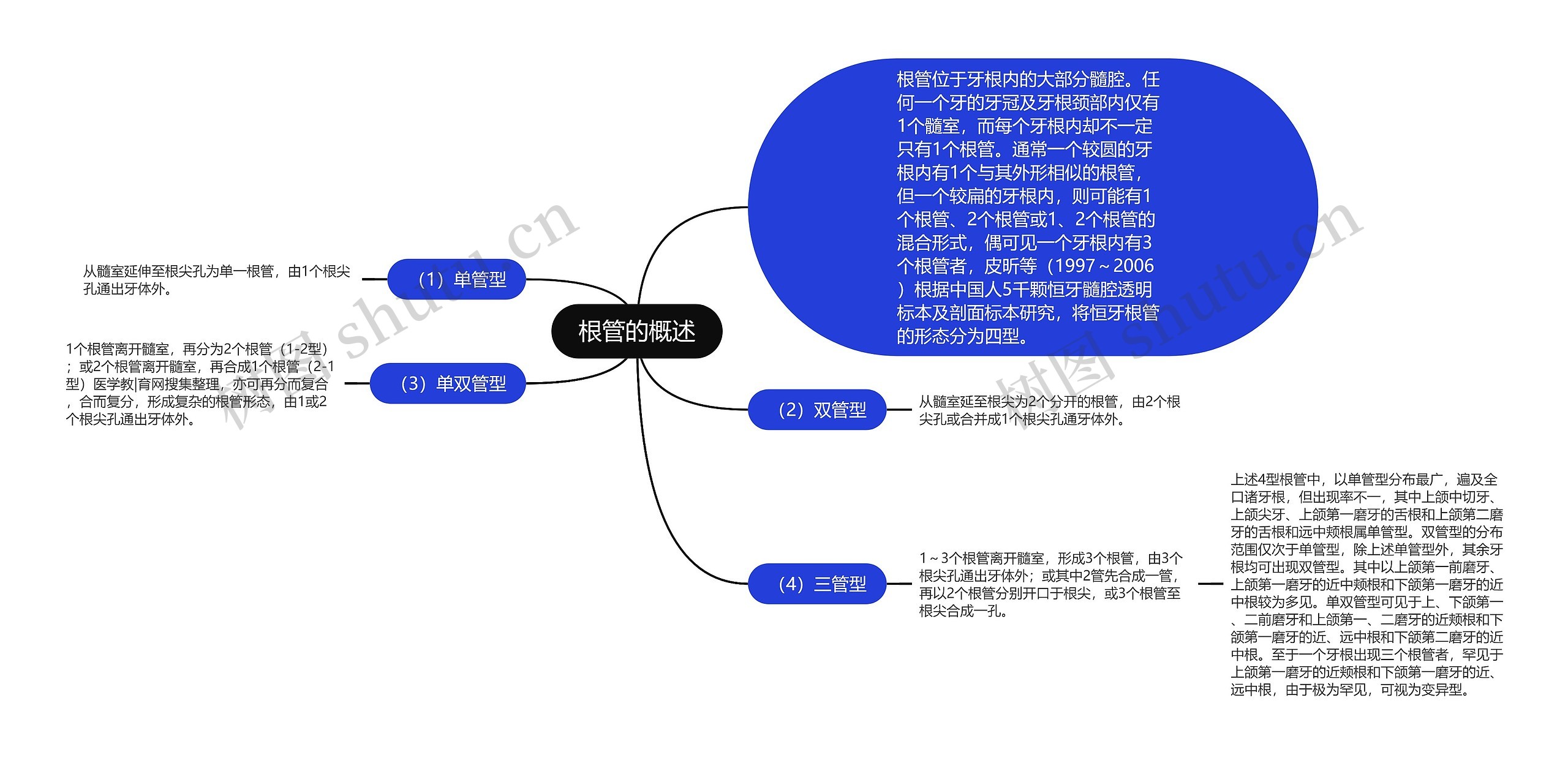 根管的概述