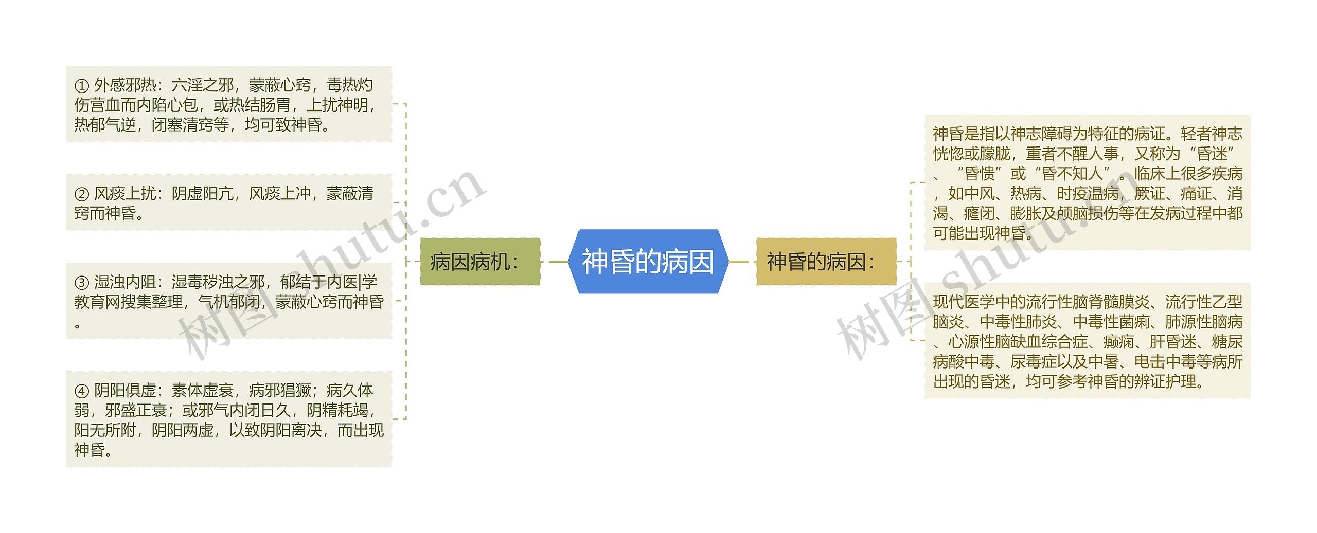 神昏的病因