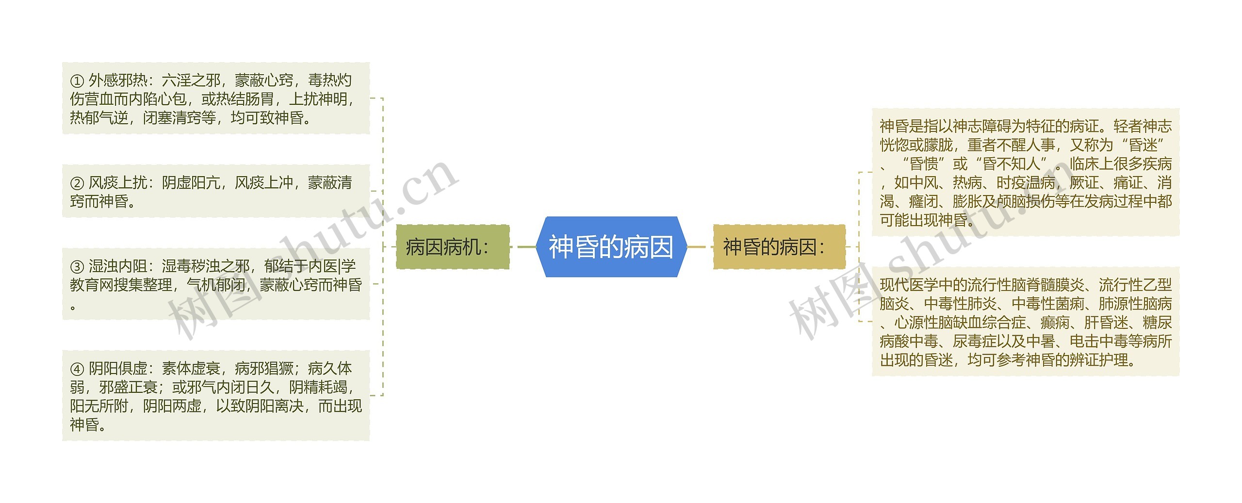 神昏的病因思维导图