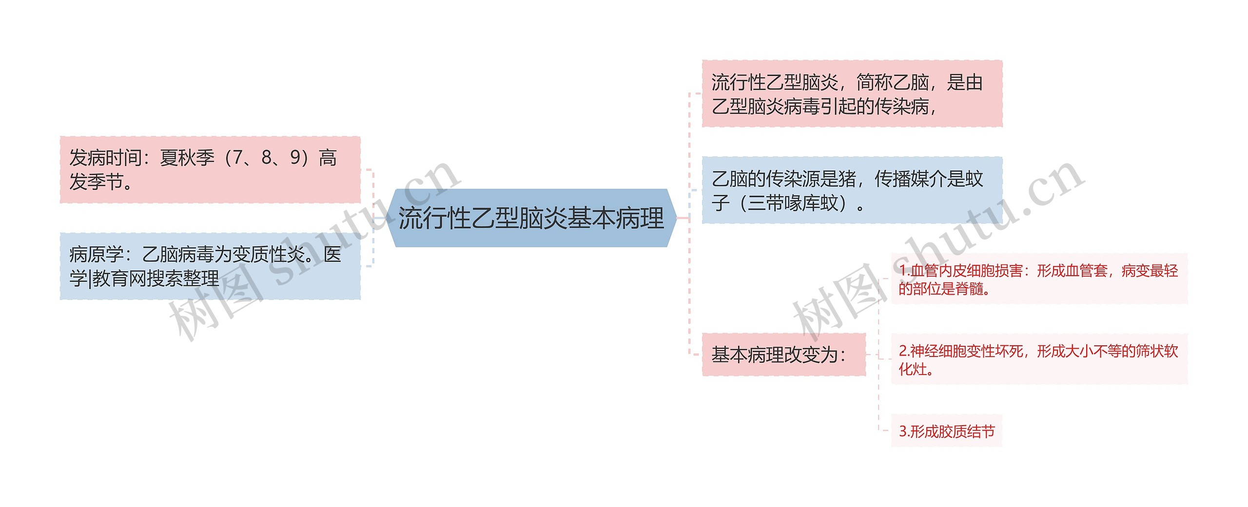 流行性乙型脑炎基本病理