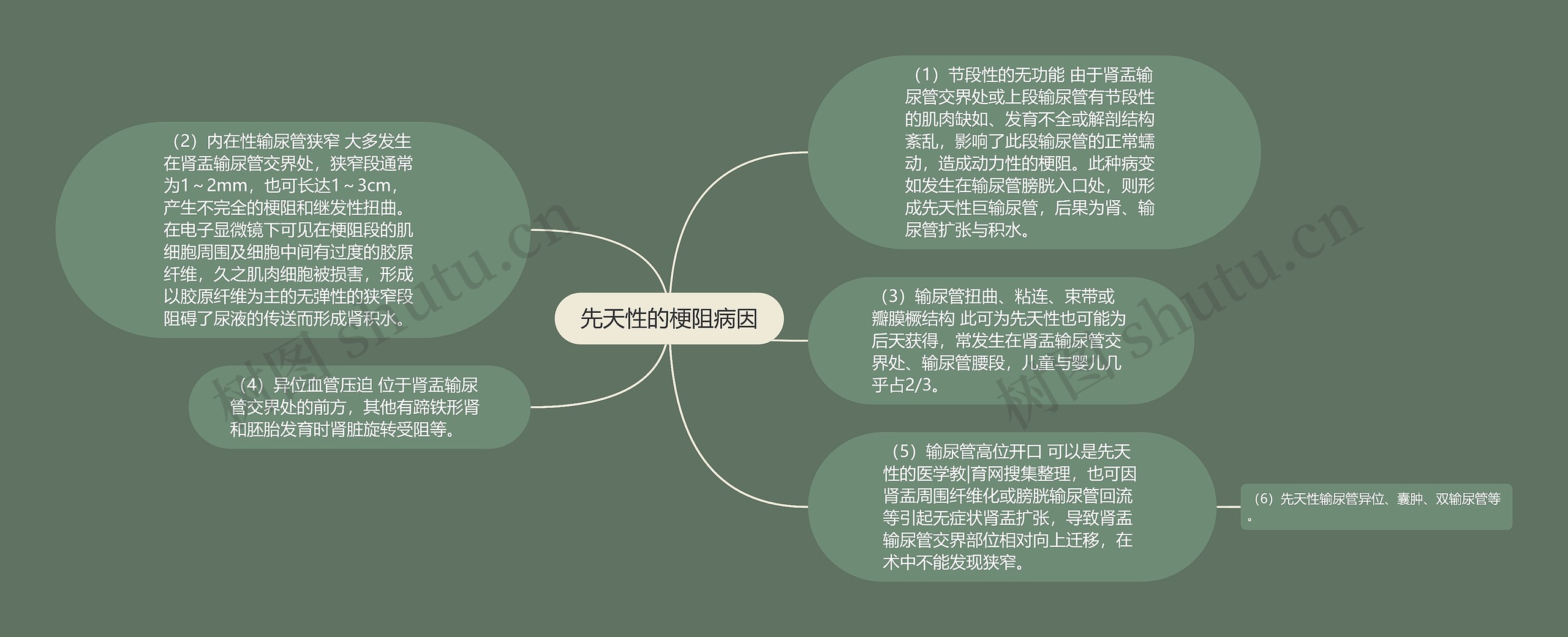 先天性的梗阻病因思维导图