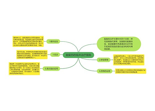 脑复苏的临床治疗措施