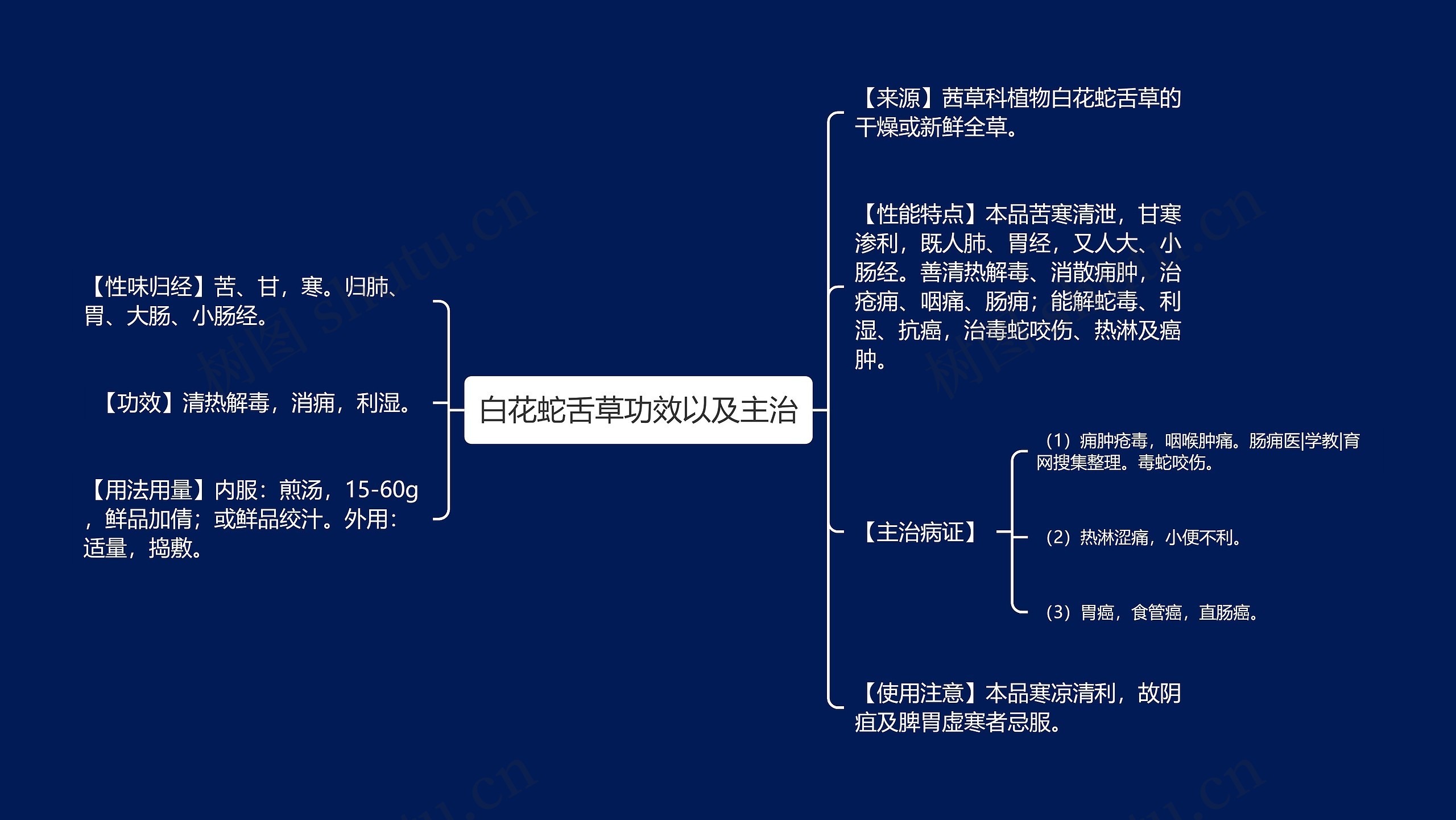 白花蛇舌草功效以及主治