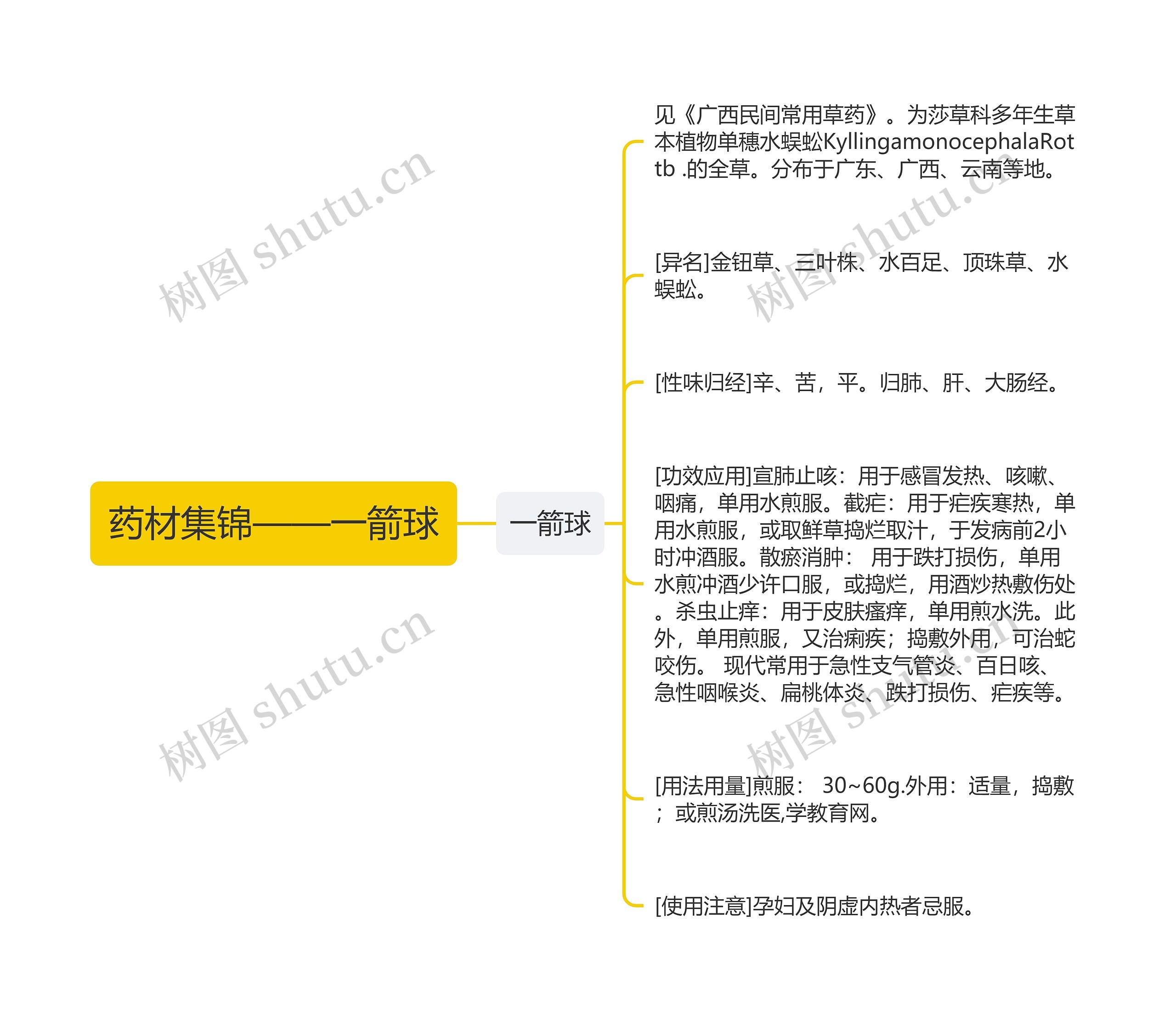 药材集锦——一箭球思维导图