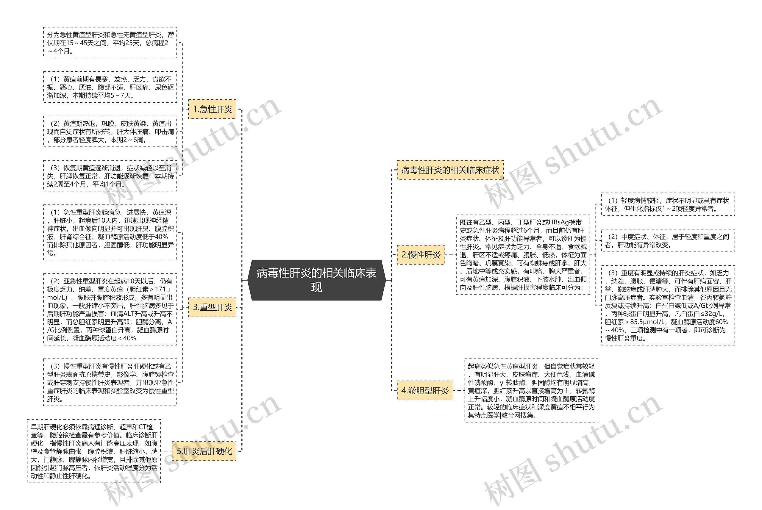 病毒性肝炎的相关临床表现思维导图