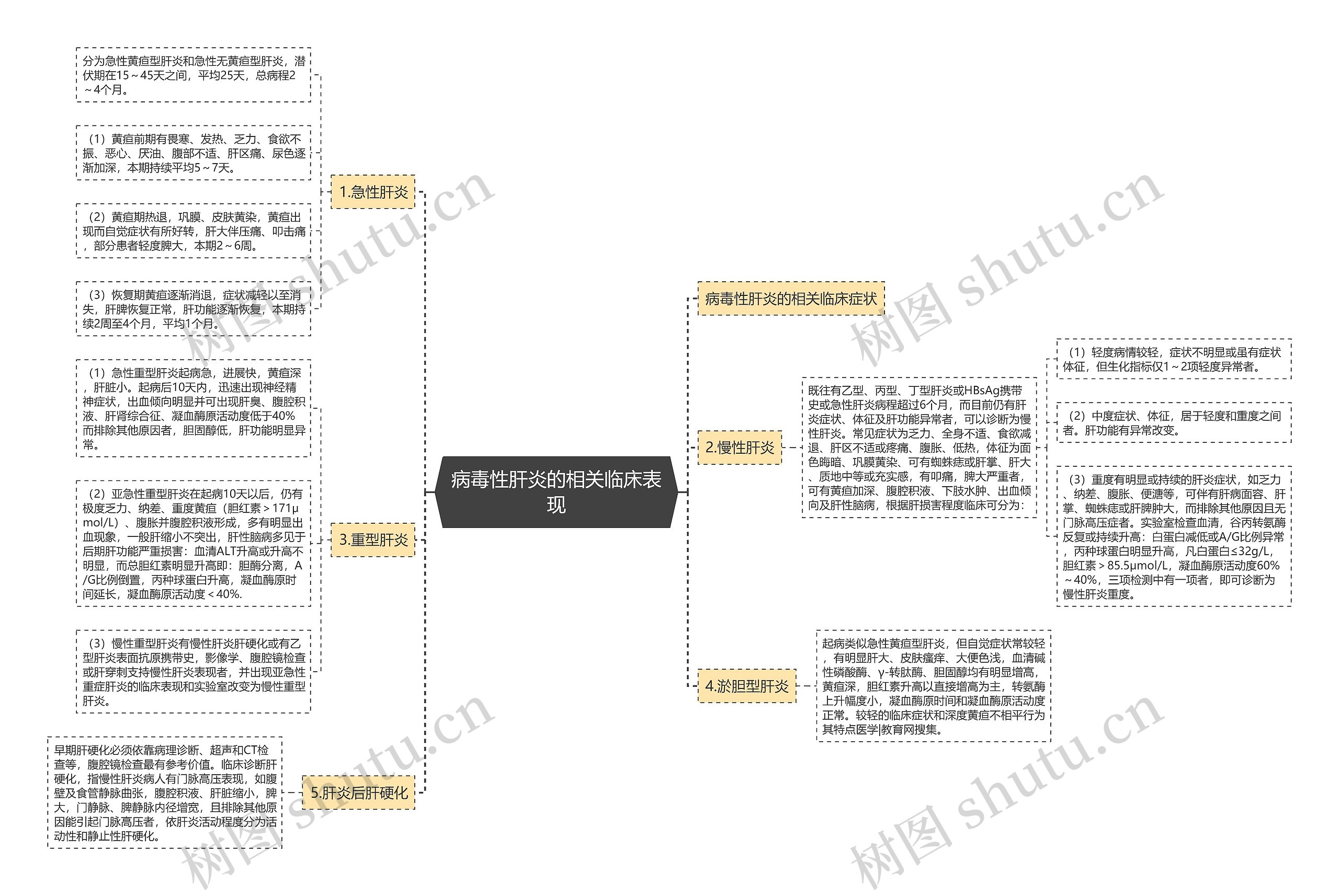病毒性肝炎的相关临床表现 病毒性肝炎的相关临床表现