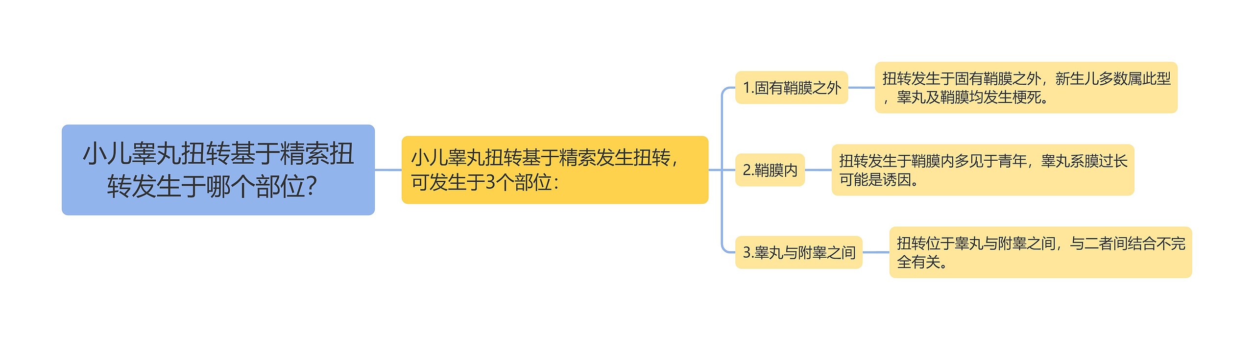 小儿睾丸扭转基于精索扭转发生于哪个部位？