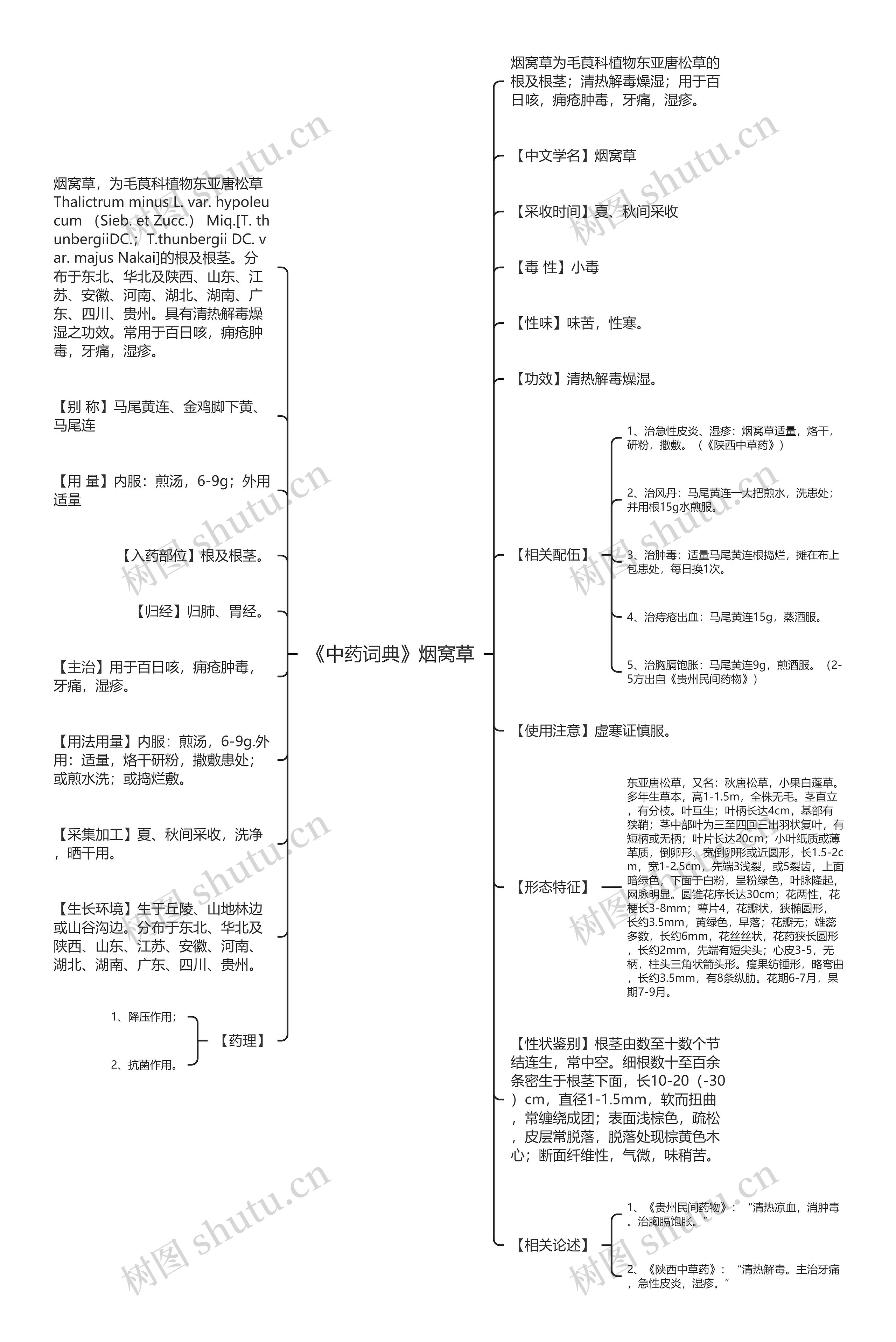 《中药词典》烟窝草思维导图