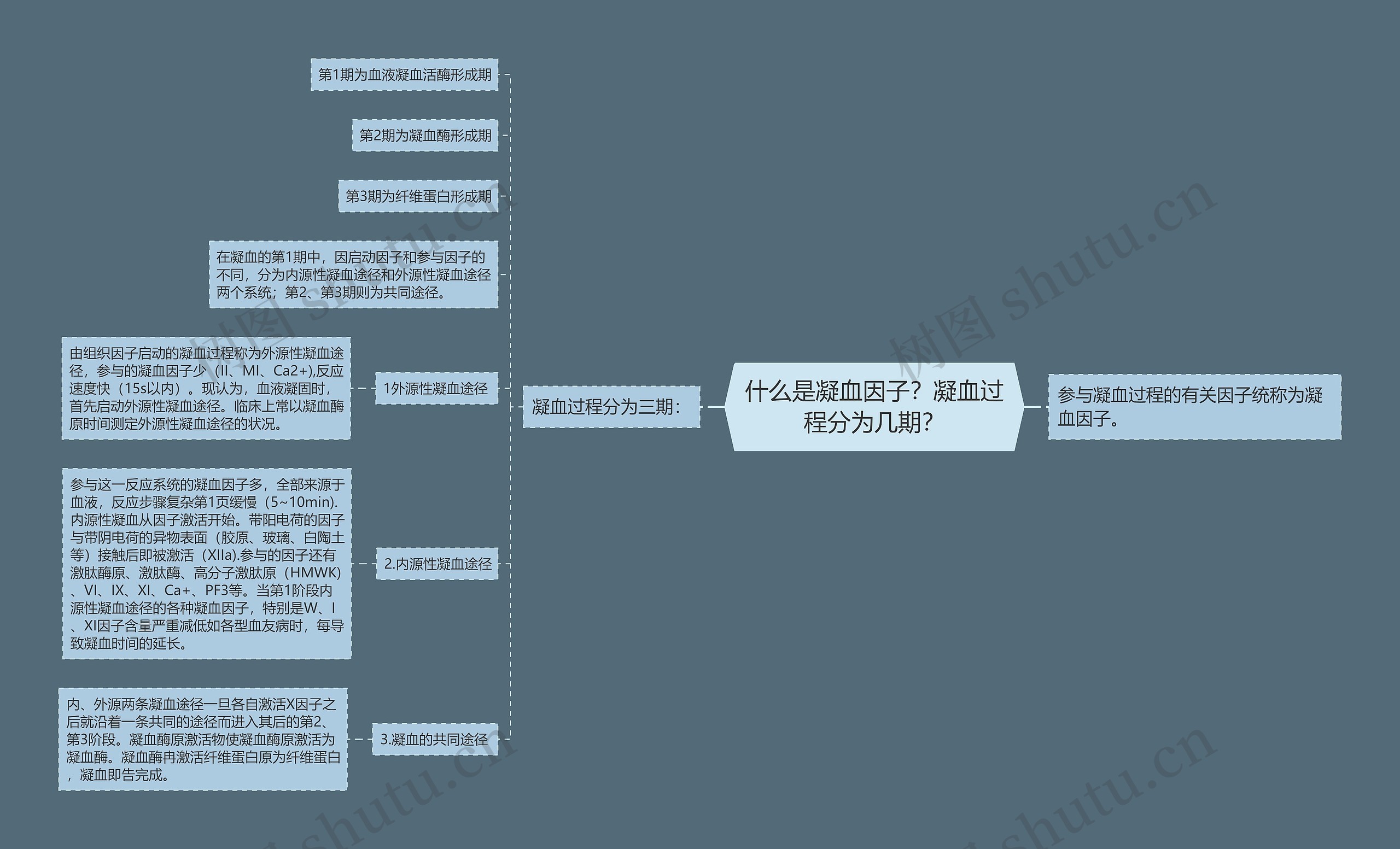 什么是凝血因子？凝血过程分为几期？思维导图