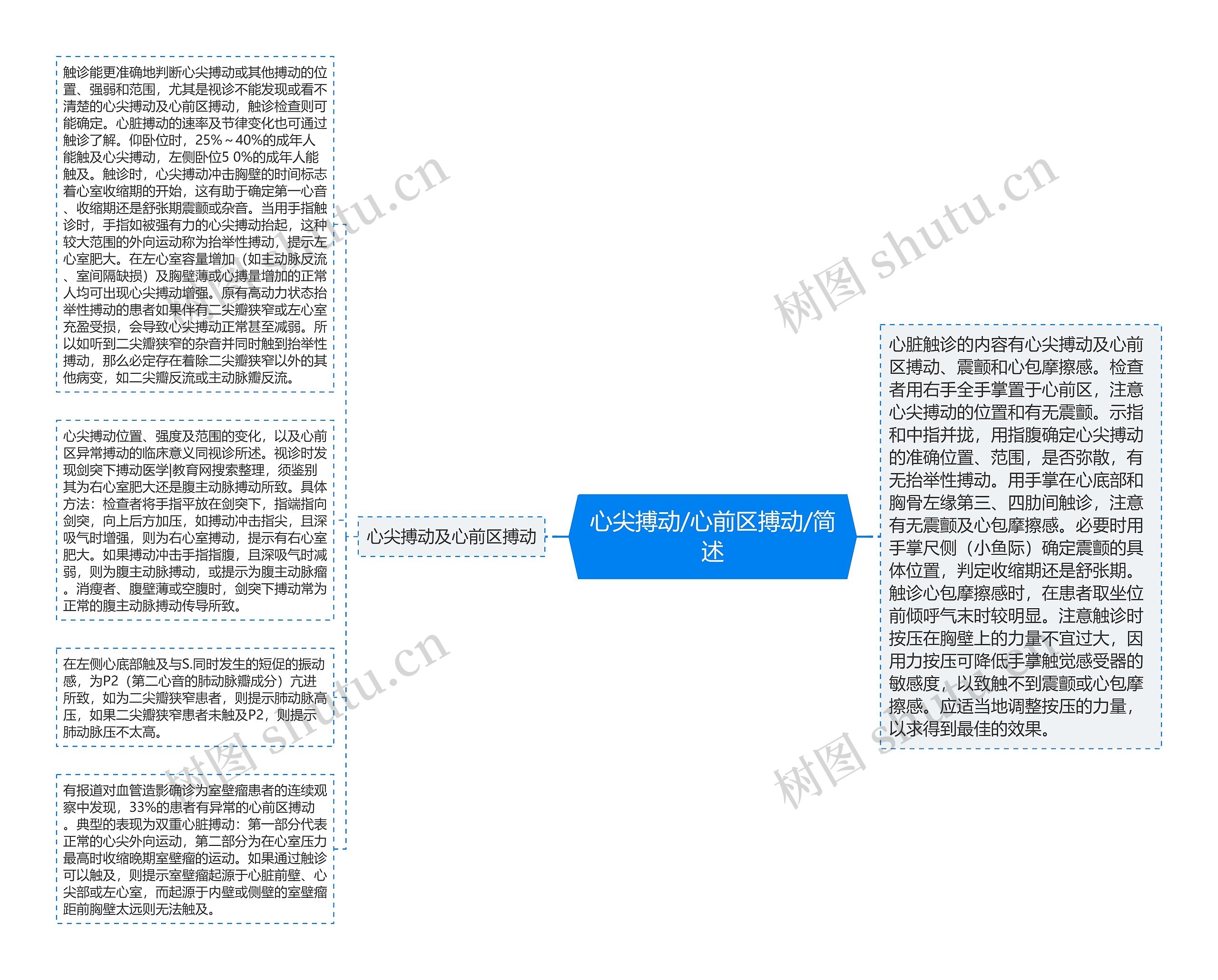 心尖搏动/心前区搏动/简述思维导图