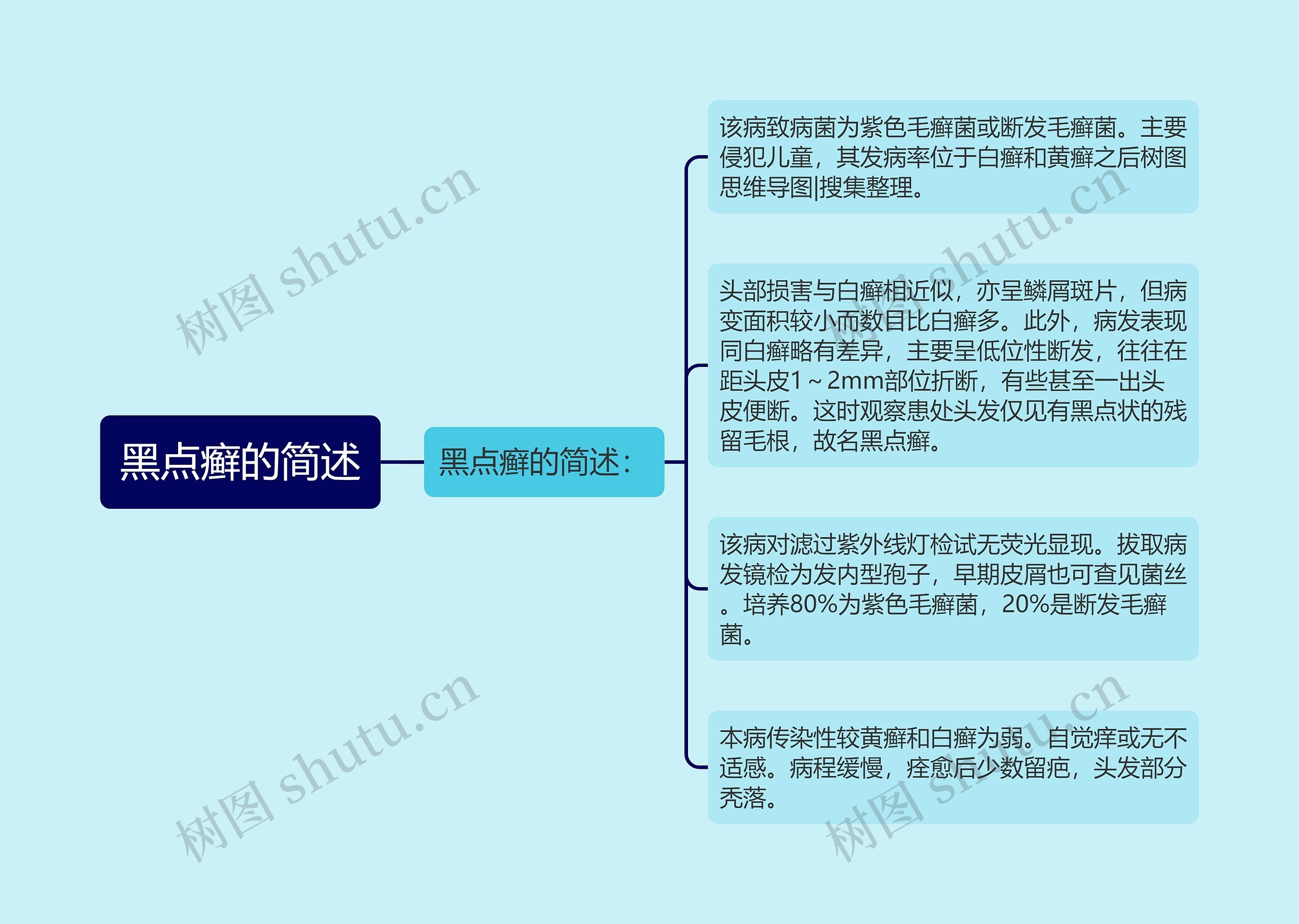 黑点癣的简述思维导图