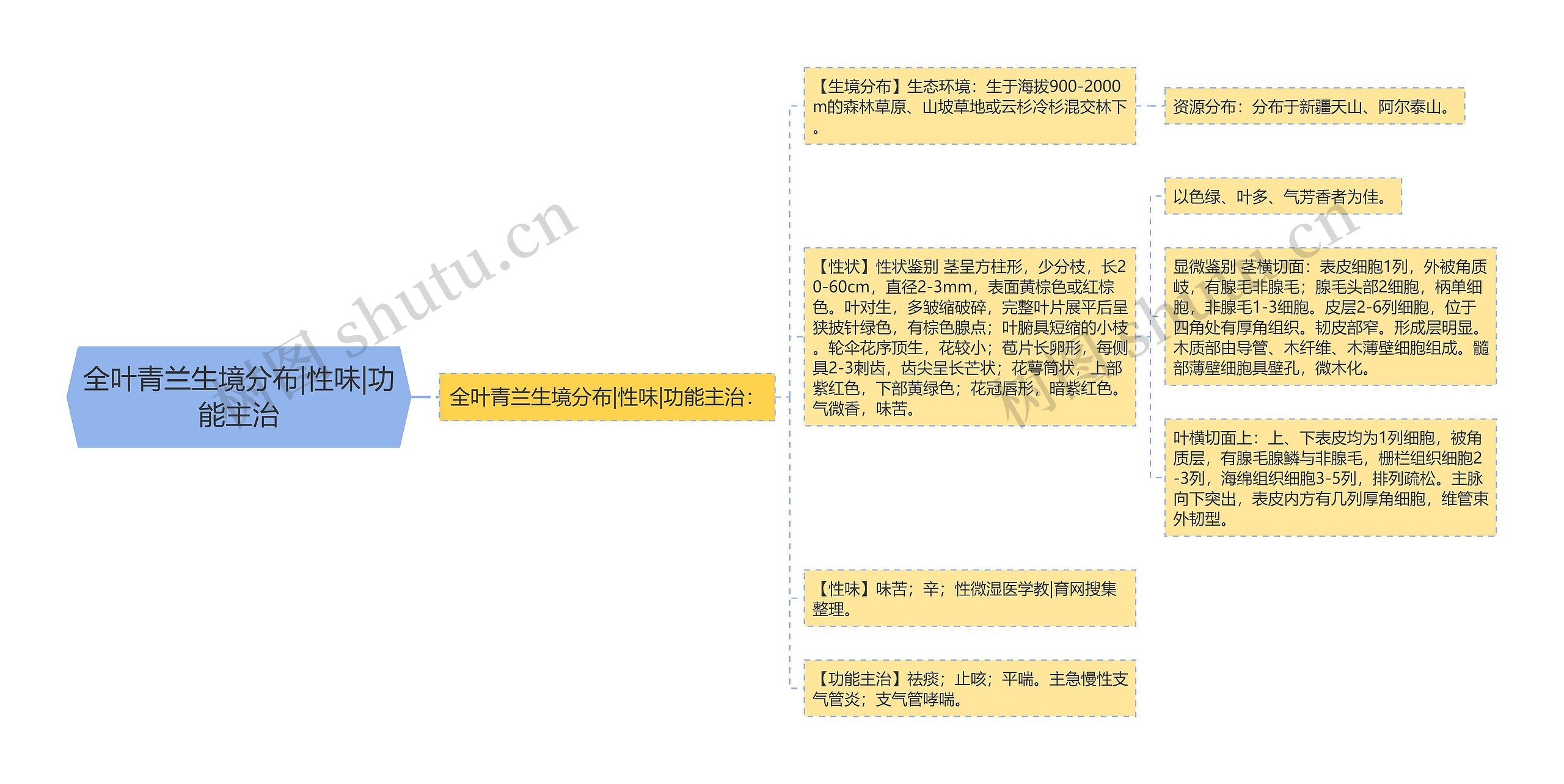 全叶青兰生境分布|性味|功能主治