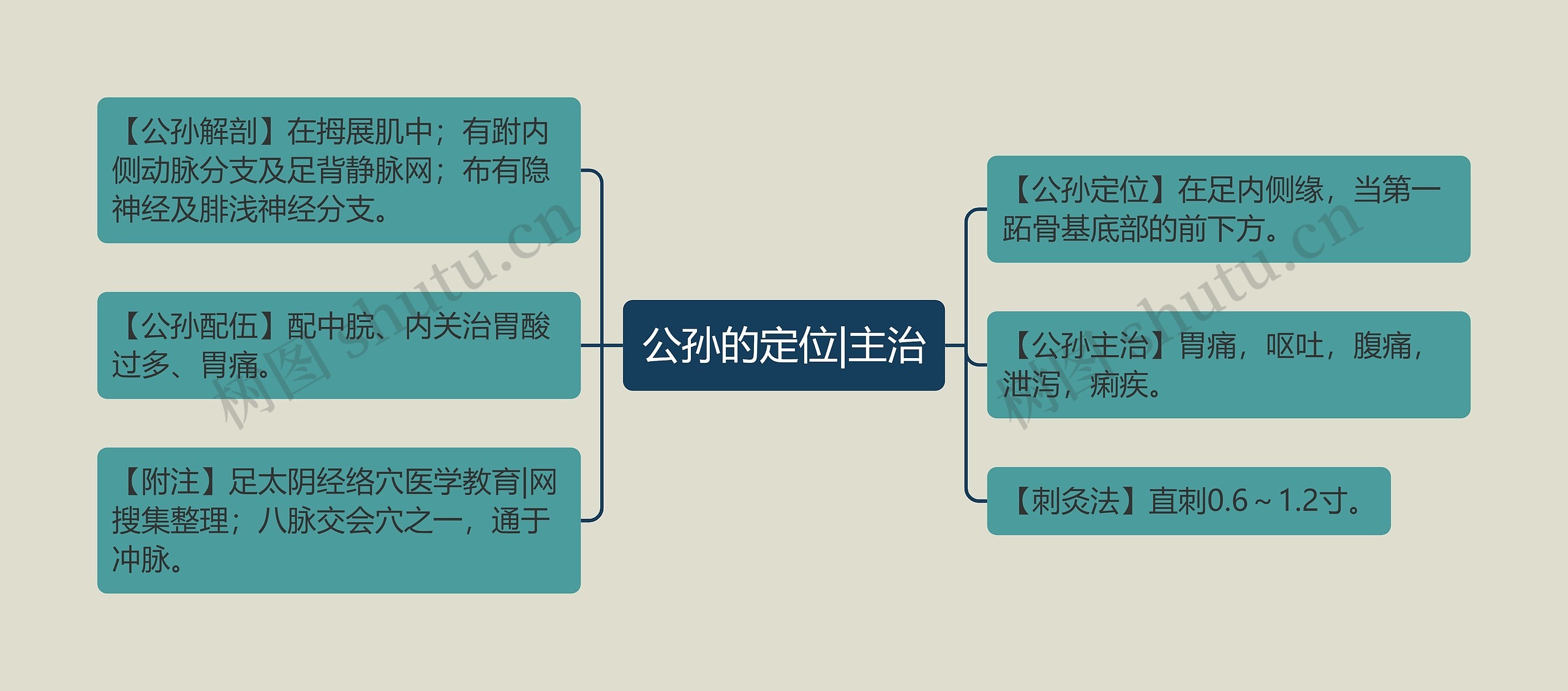 公孙的定位|主治思维导图