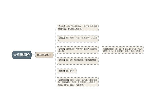 大乌泡简介