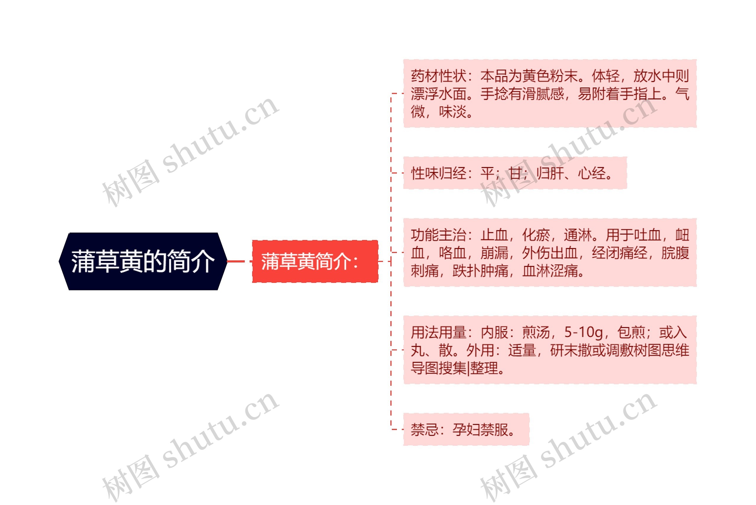 蒲草黄的简介思维导图