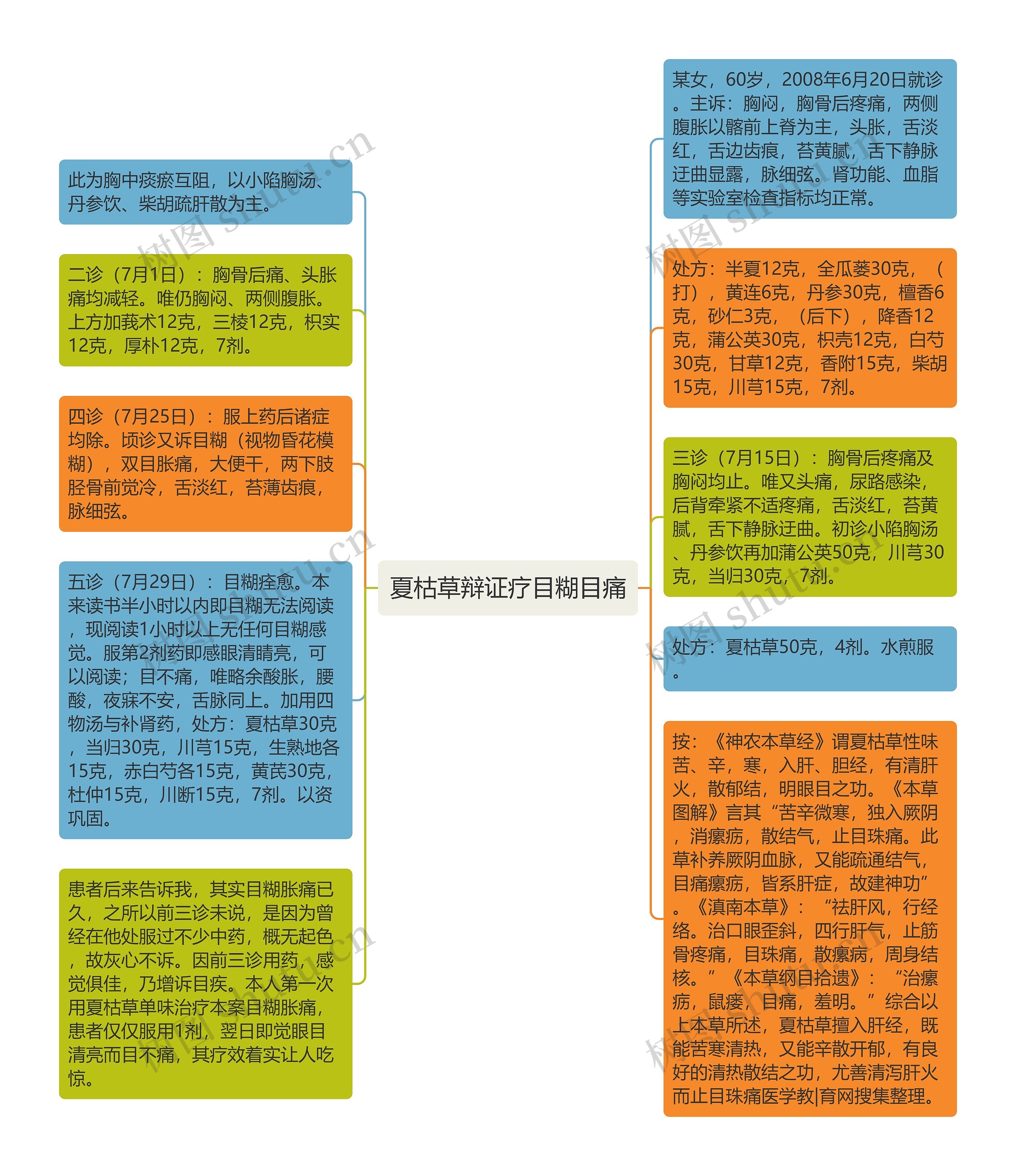 夏枯草辩证疗目糊目痛思维导图