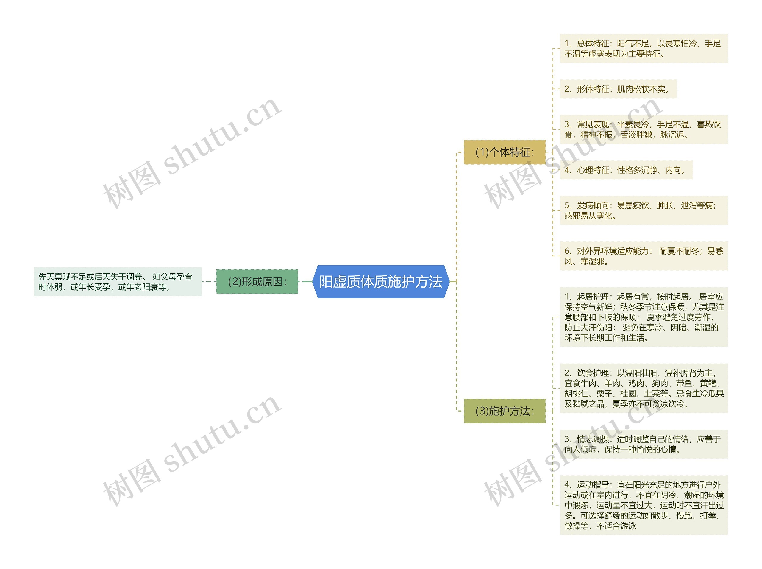 阳虚质体质施护方法思维导图