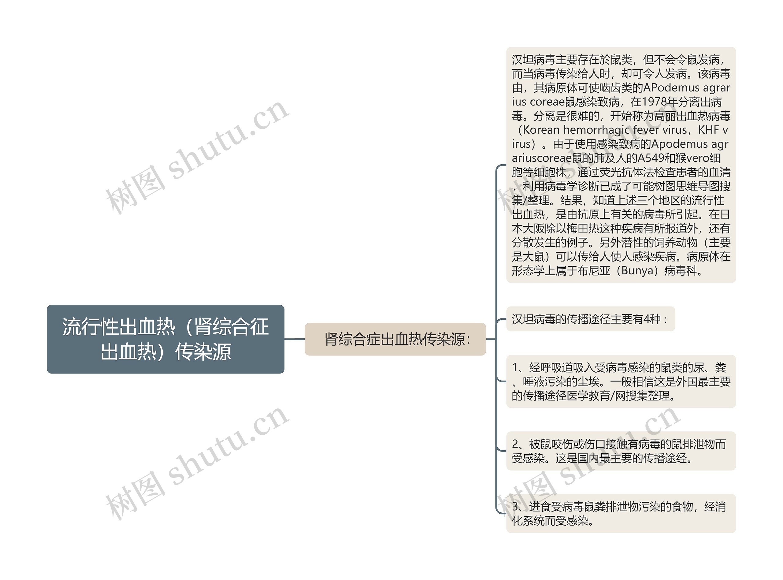 流行性出血热（肾综合征出血热）传染源思维导图