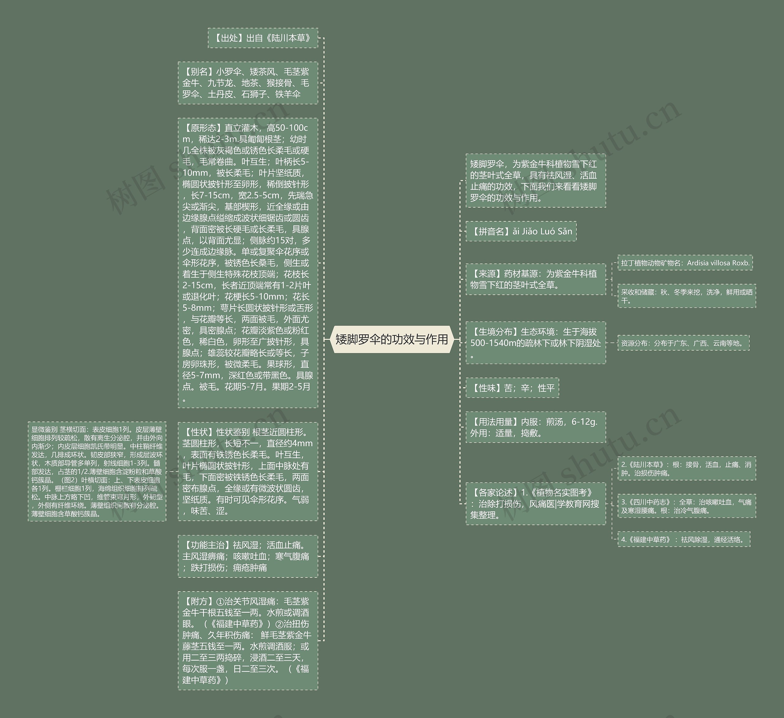 矮脚罗伞的功效与作用思维导图