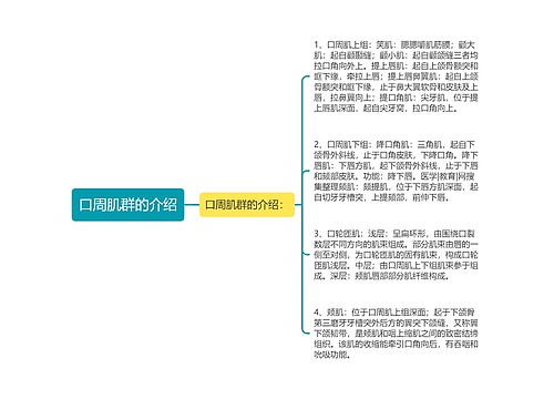 口周肌群的介绍