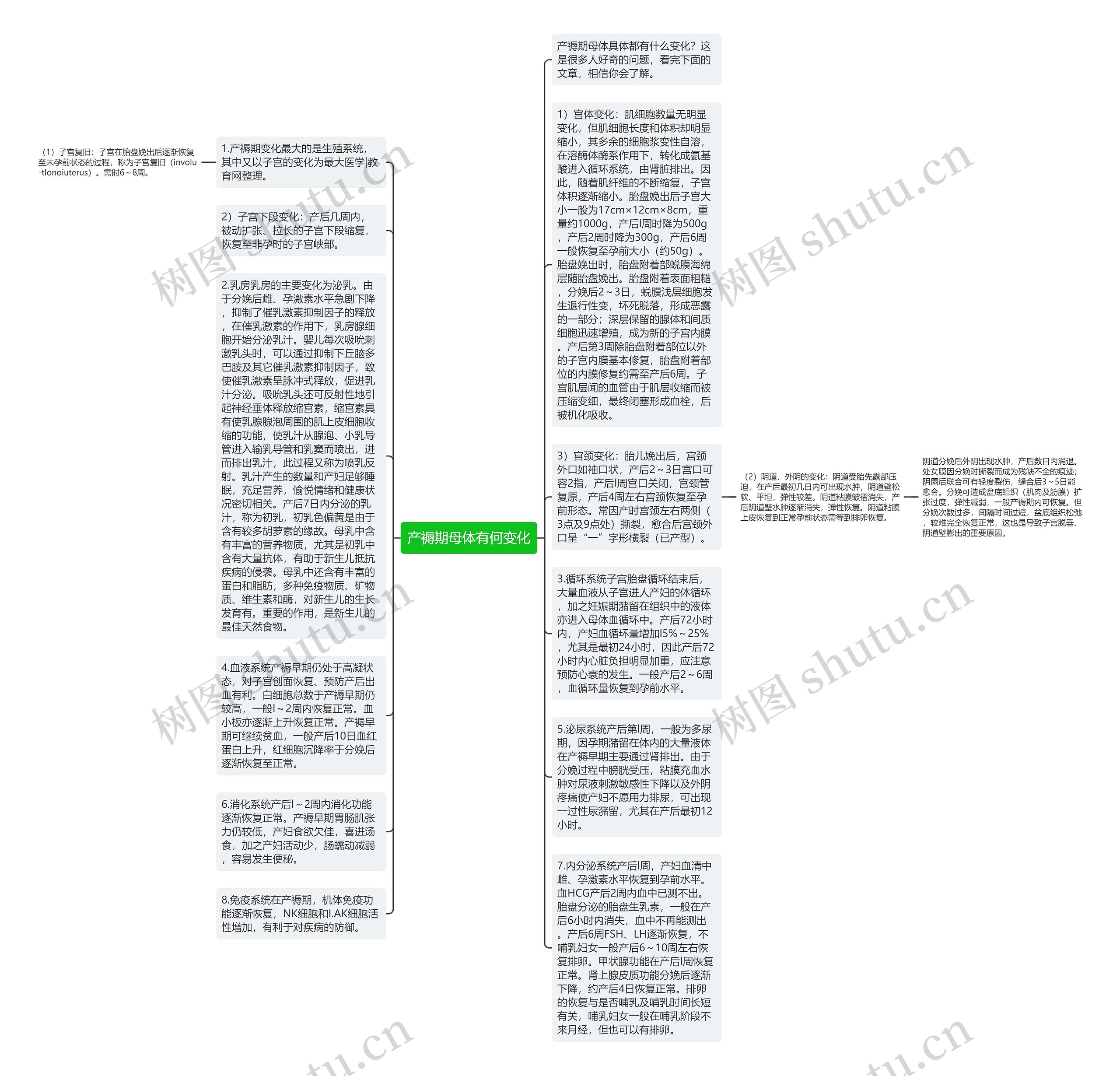 产褥期母体有何变化思维导图