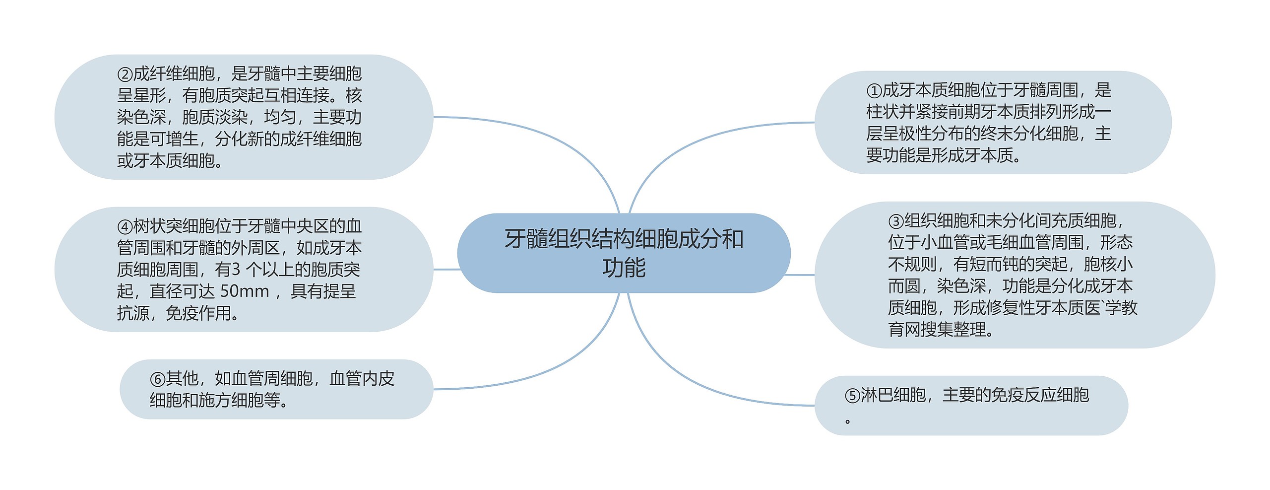 牙髓组织结构细胞成分和功能思维导图