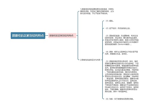 腮腺咬肌区解剖结构特点