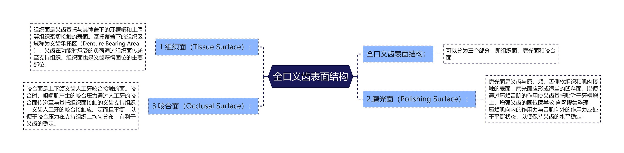 全口义齿表面结构