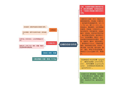 白柳的功效与作用